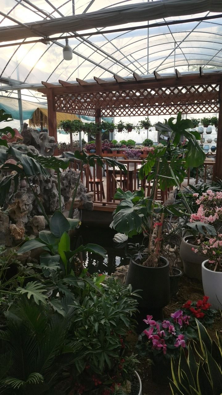 开心多肉植物园旅行图片 1