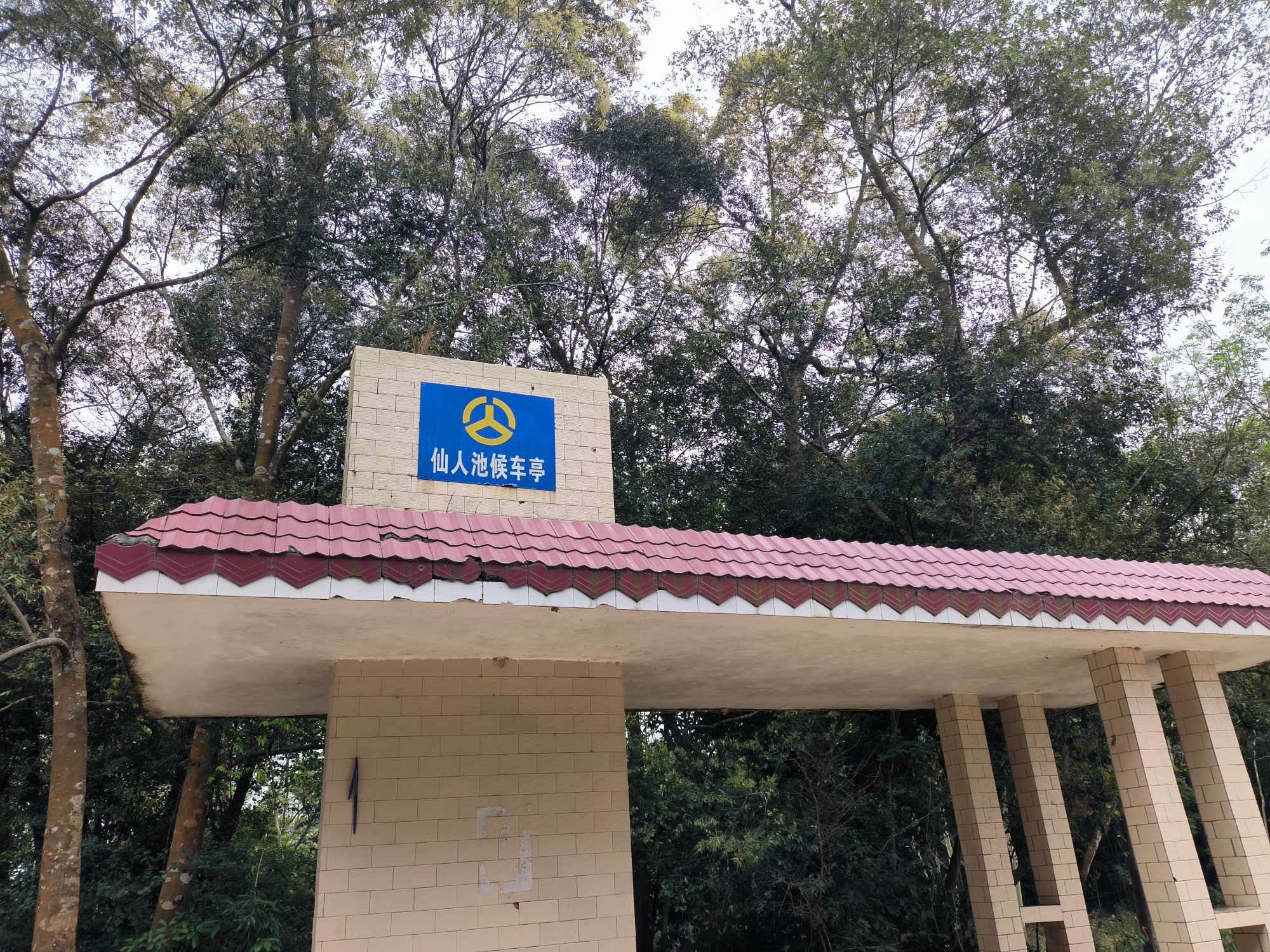 廉江市和寮镇根竹村根竹嶂生态森林公园旅行图片 2