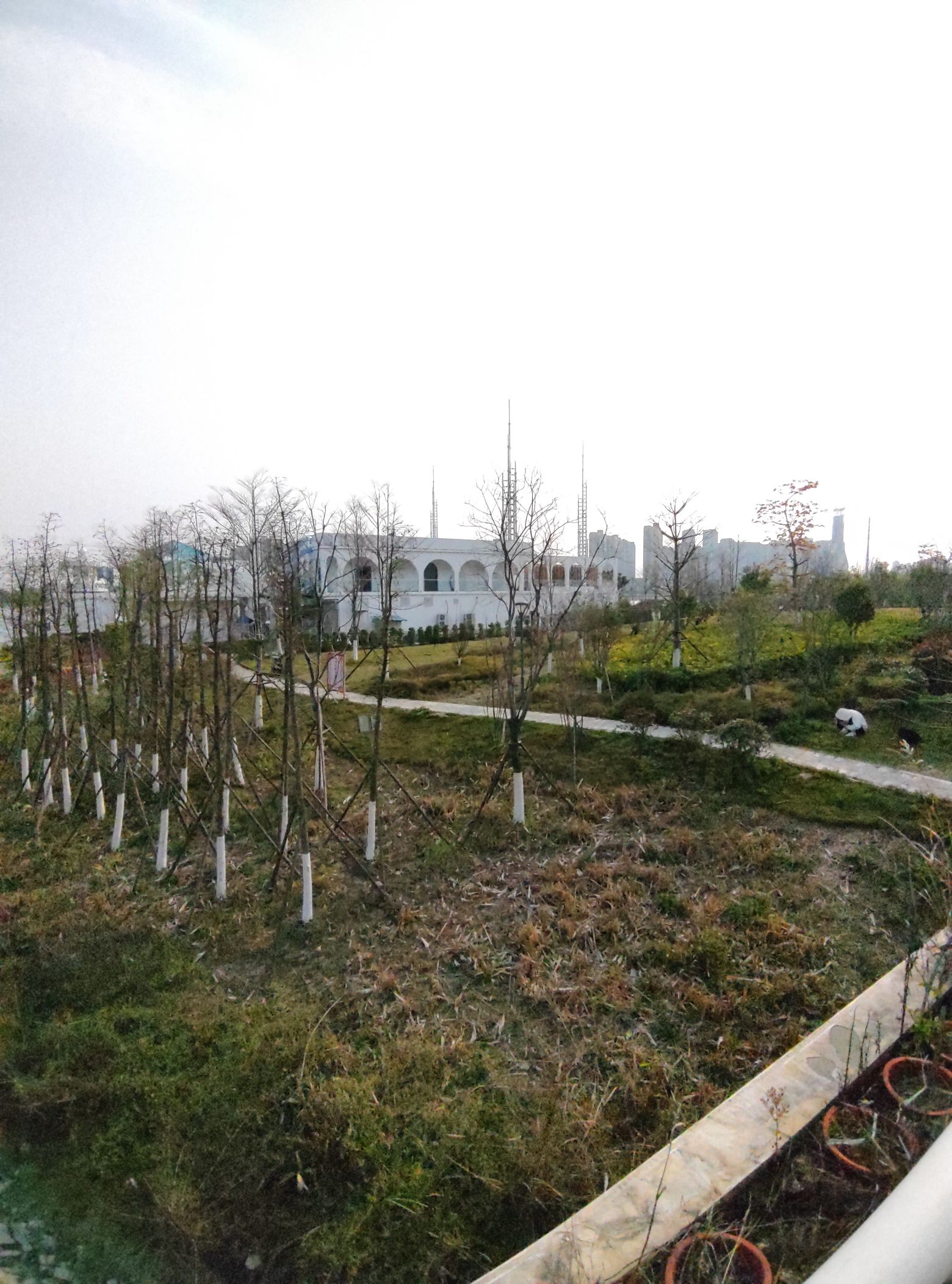 玉湖环湖公园旅行图片 2
