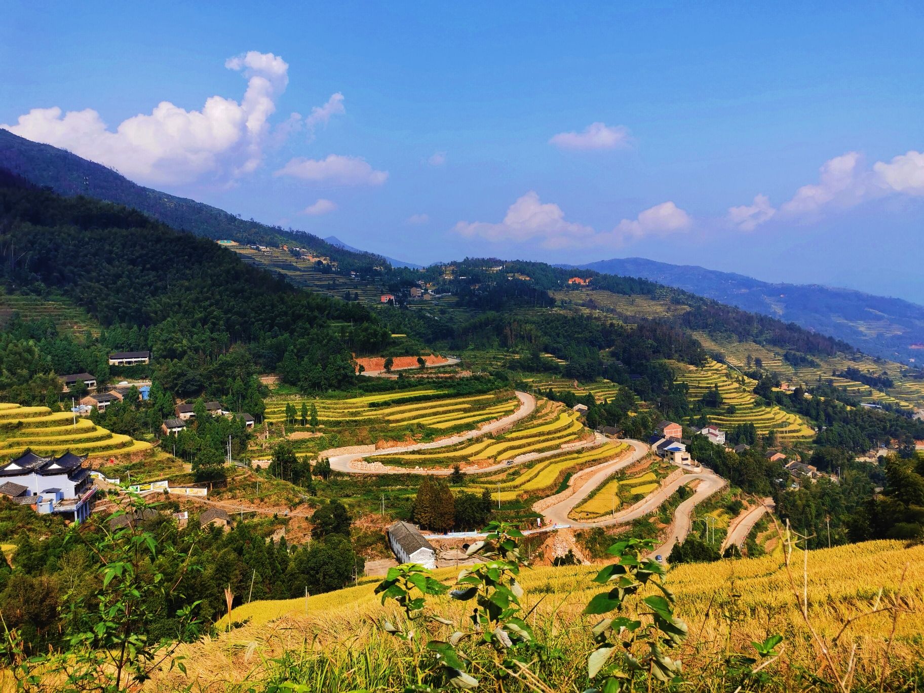 金川云端梯田旅行图片 2