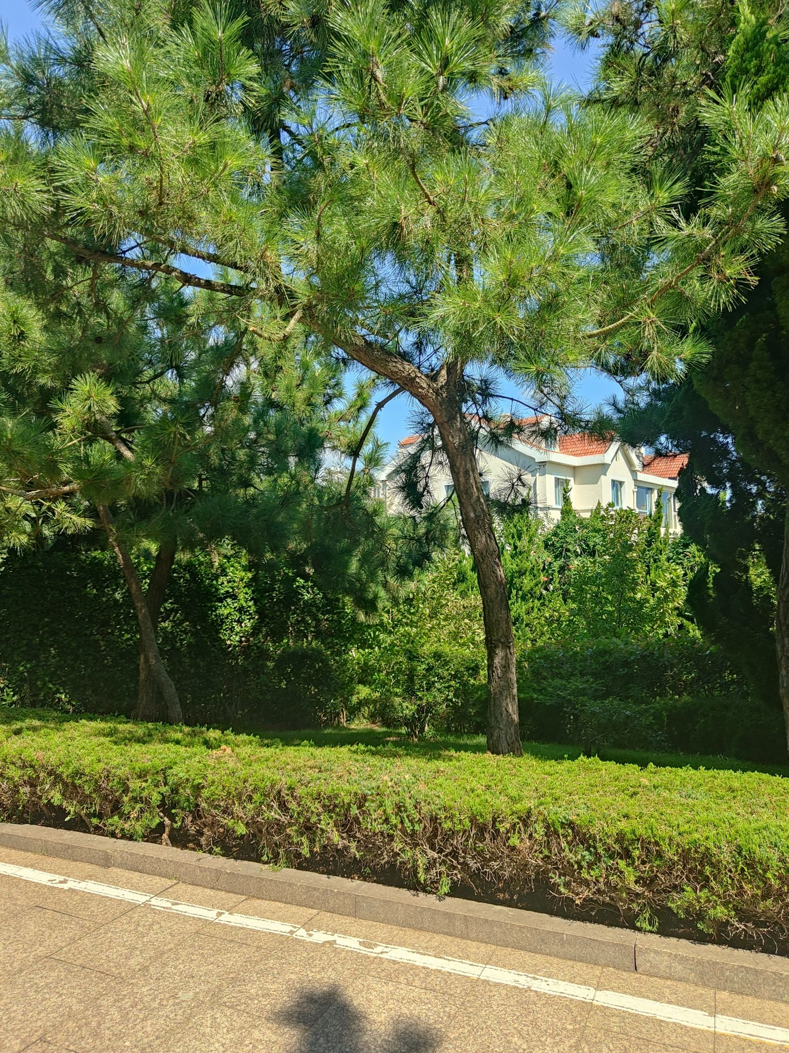 海之恋Park旅行图片 1