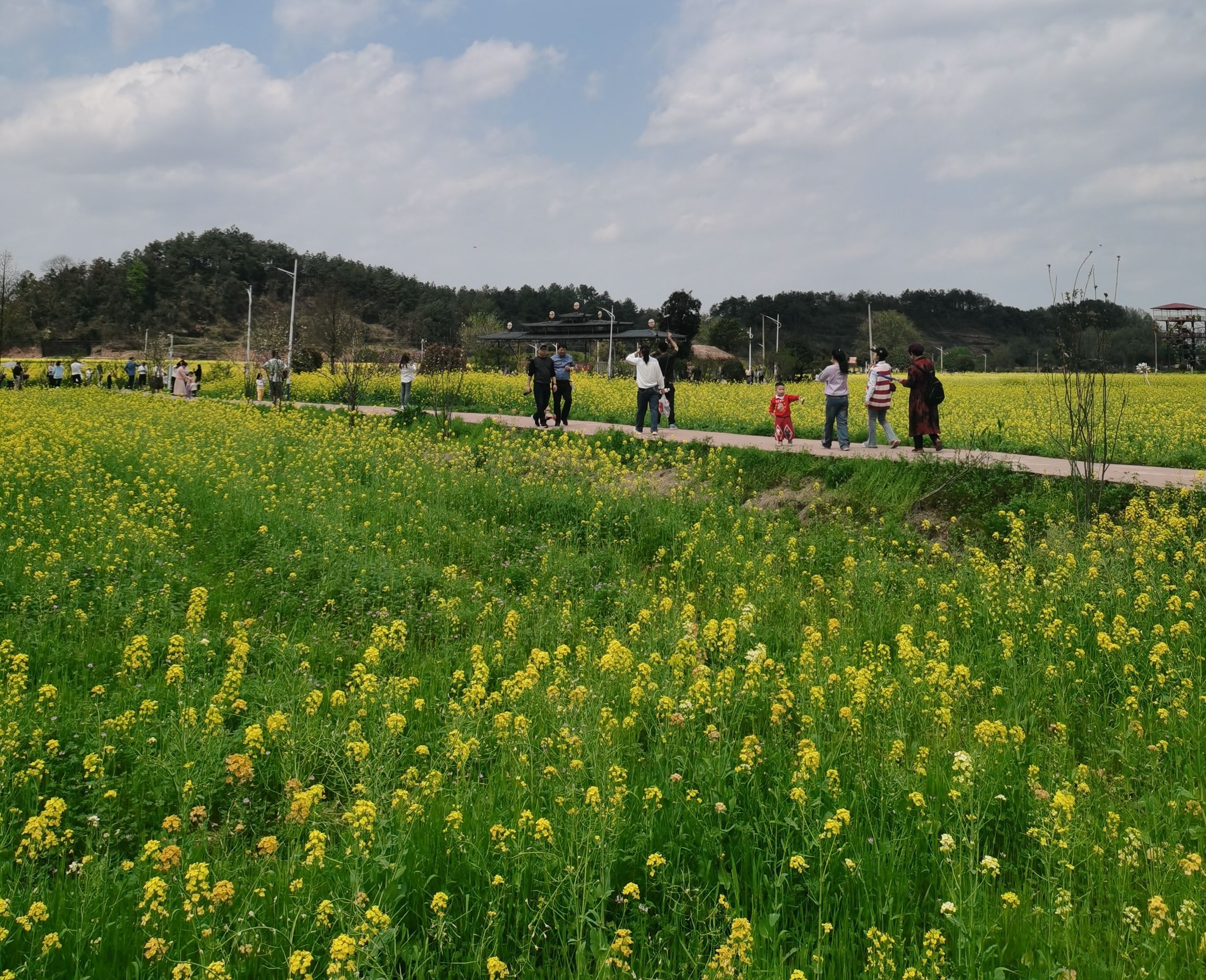 长沙县五福村金银坝旅行图片 2