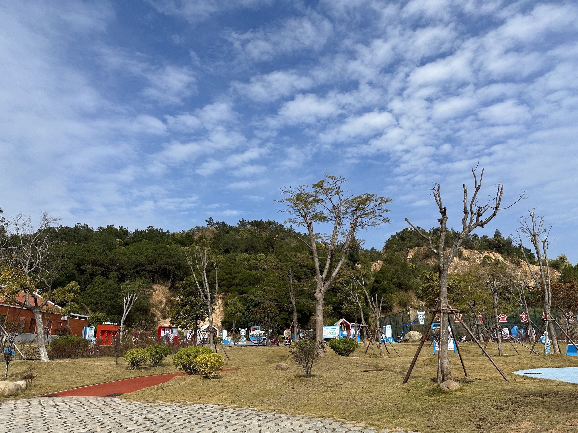 崎山公园亲子园旅行图片 1