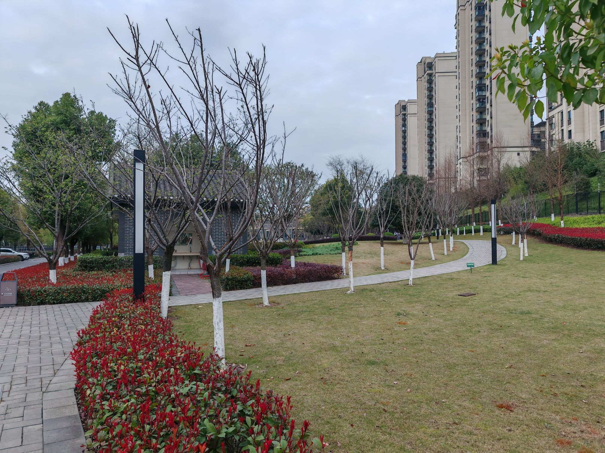 灯塔公园旅行图片 3