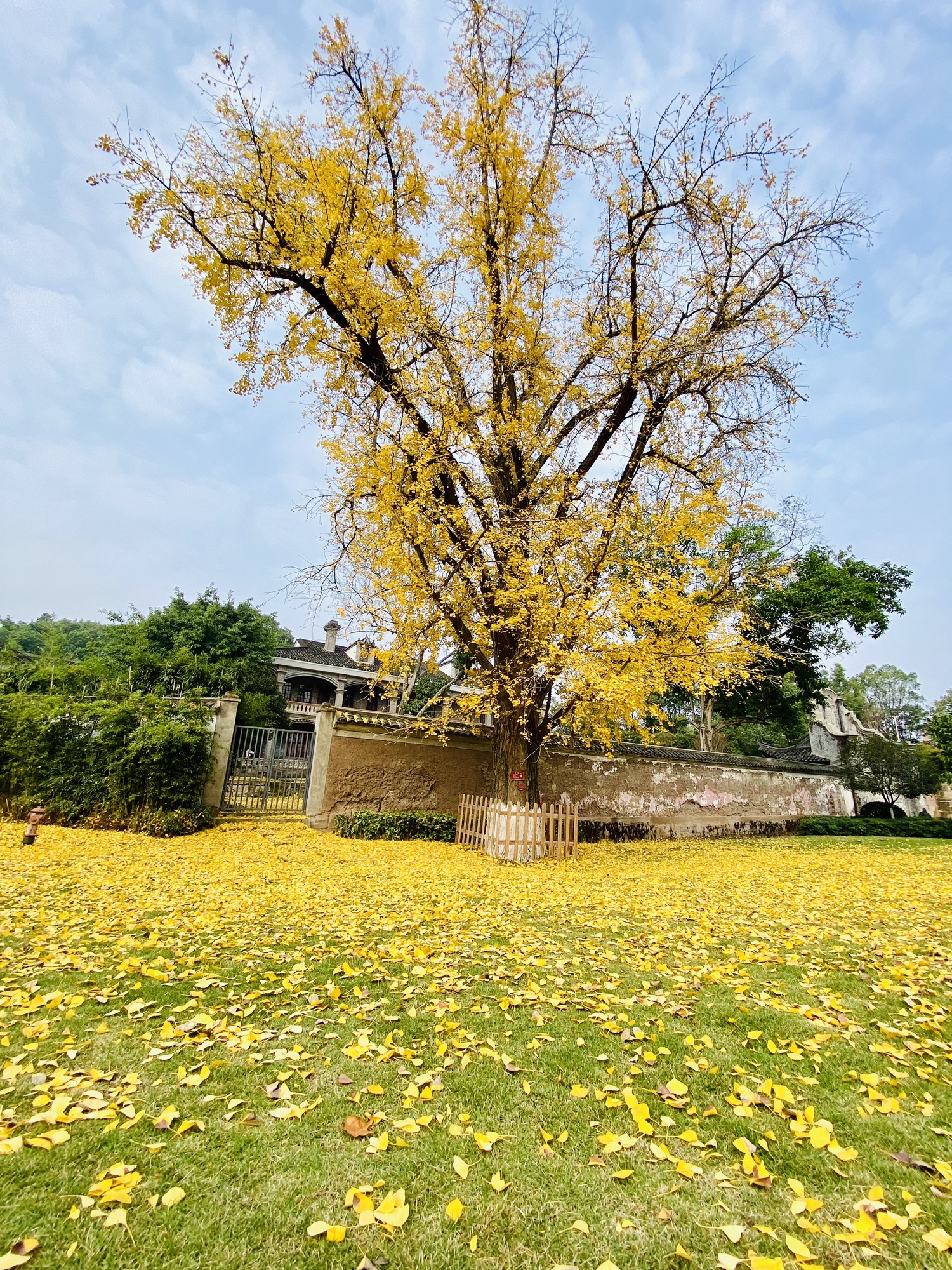 灯塔公园旅行图片 3