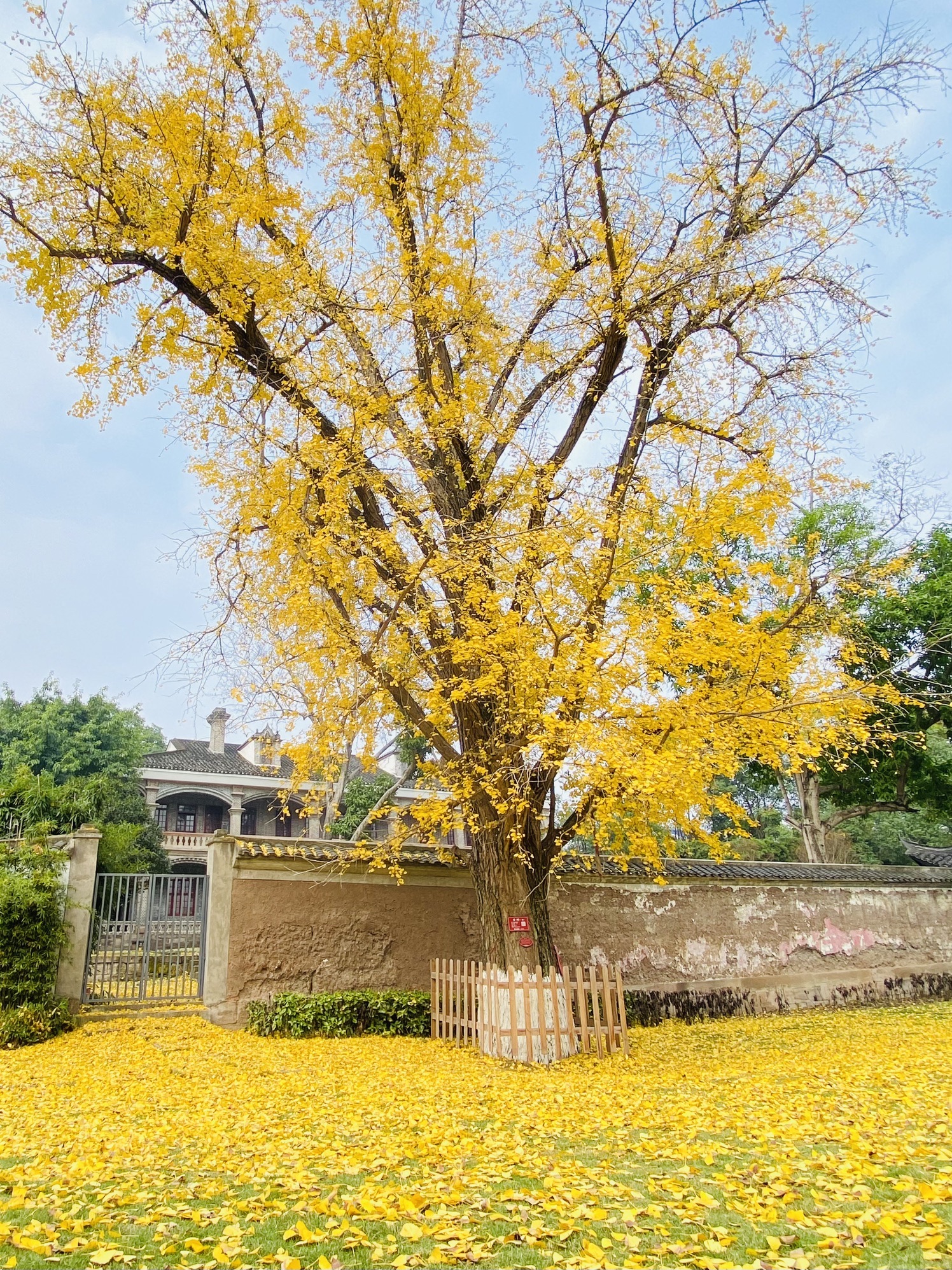 灯塔公园旅行图片 1