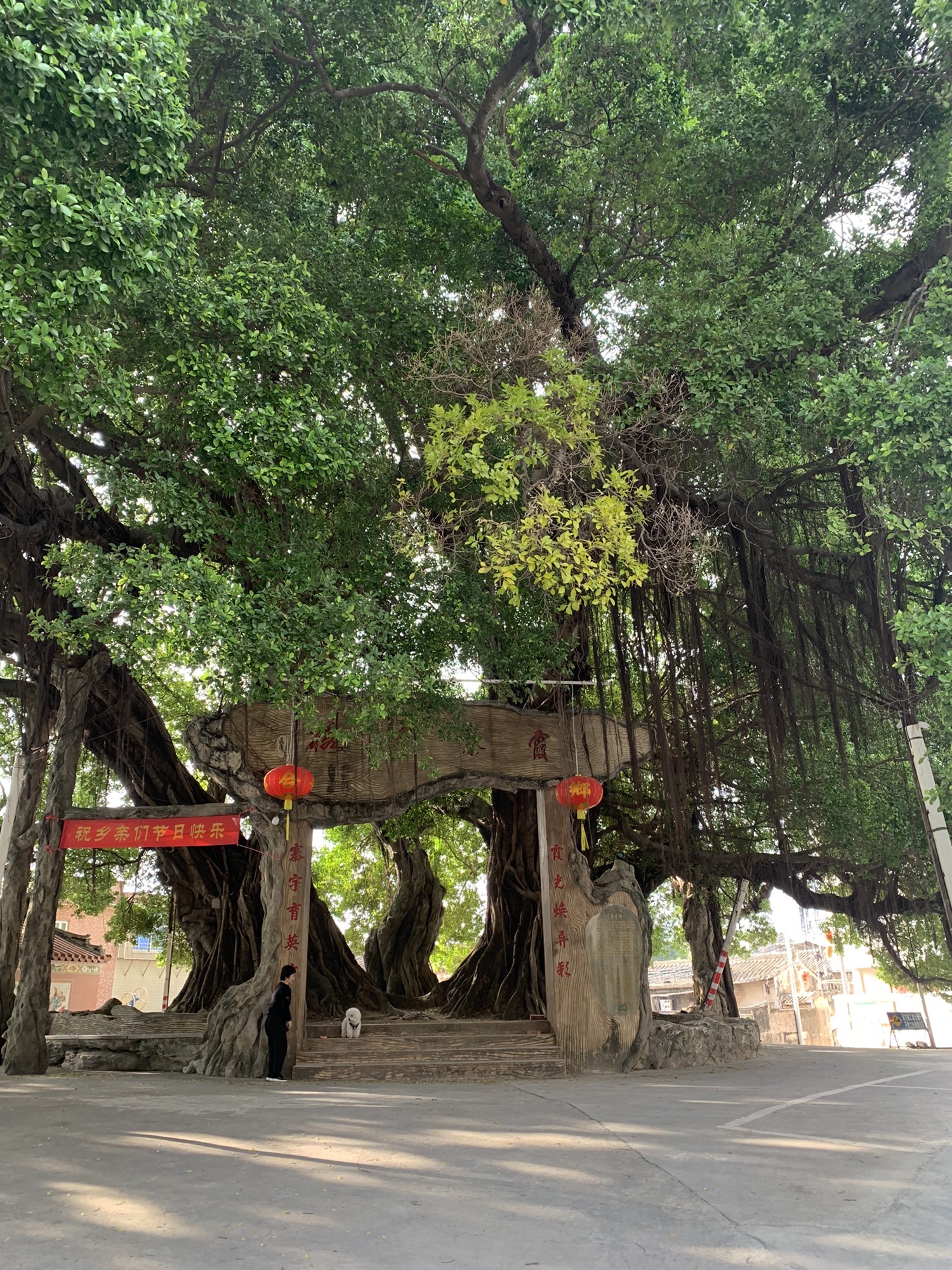 下寨村风景园区旅行图片