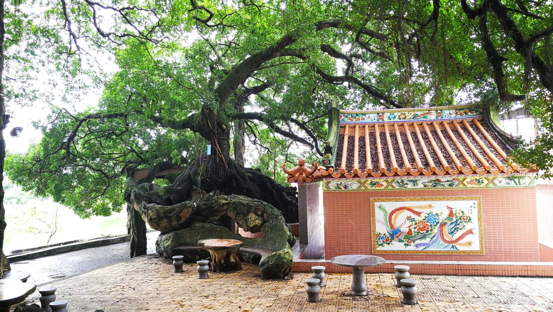 下寨村风景园区旅行图片 1