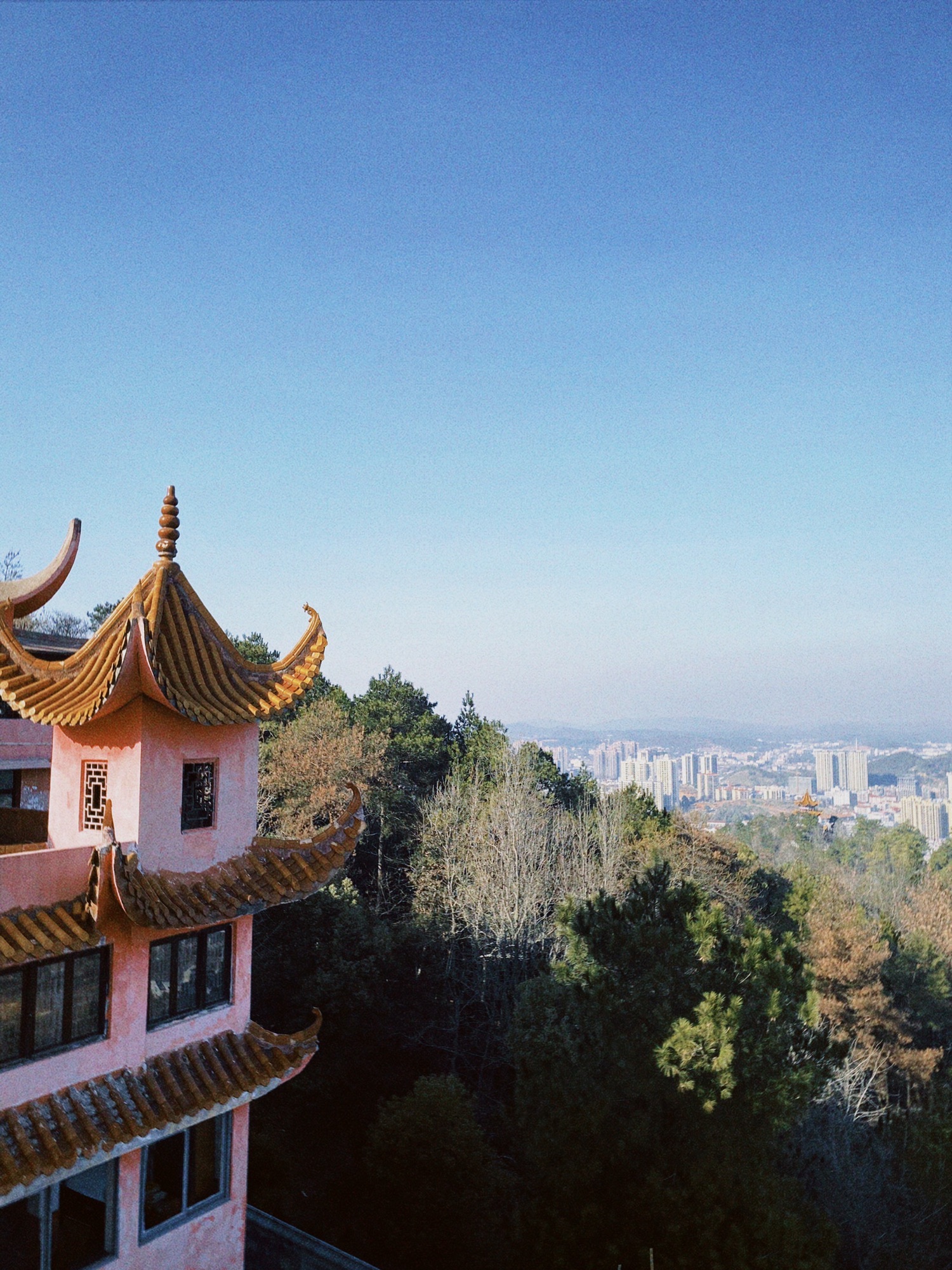紫巾山森林公园旅行图片 1