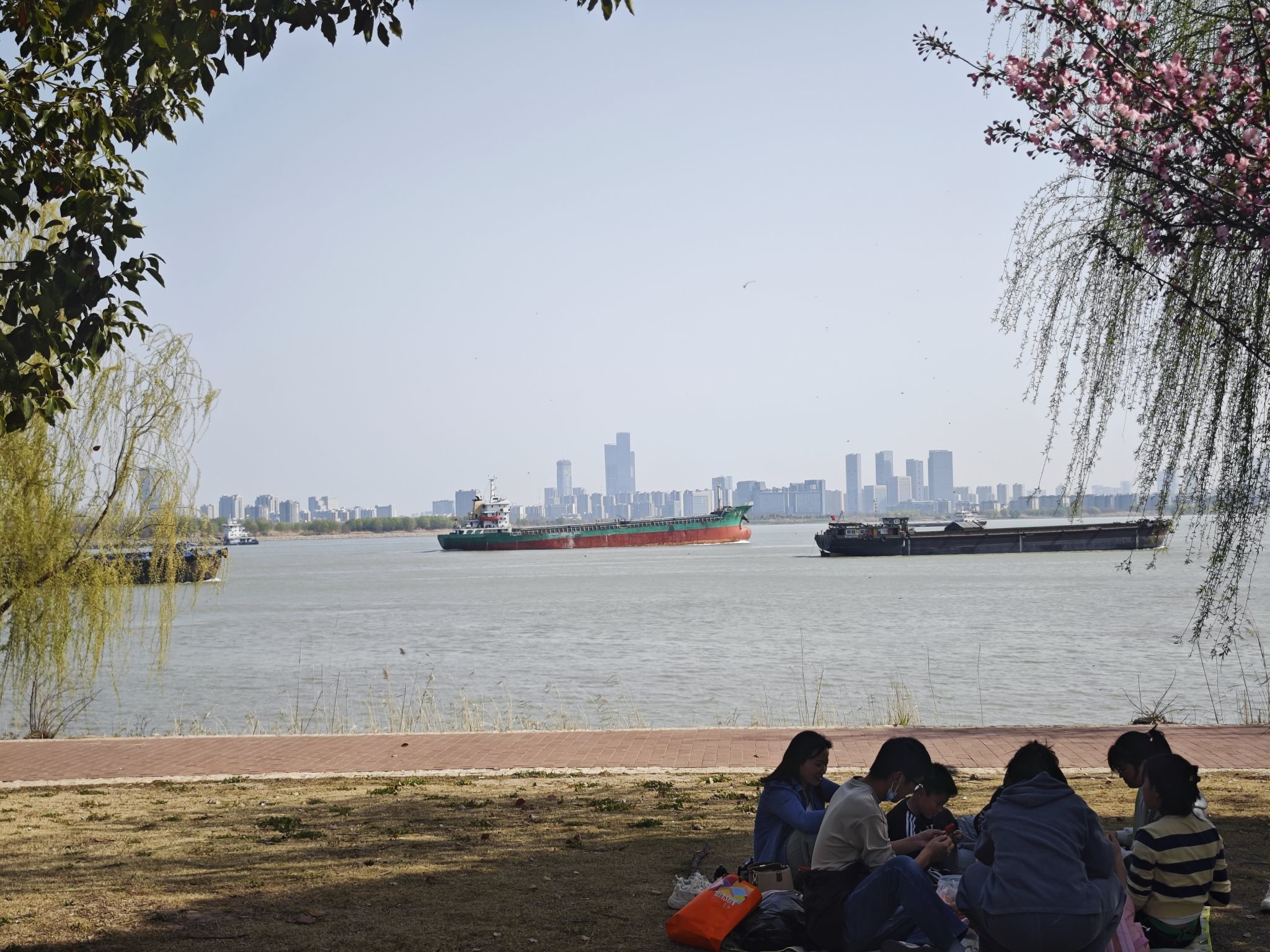 扬子江生态公园旅行图片 1