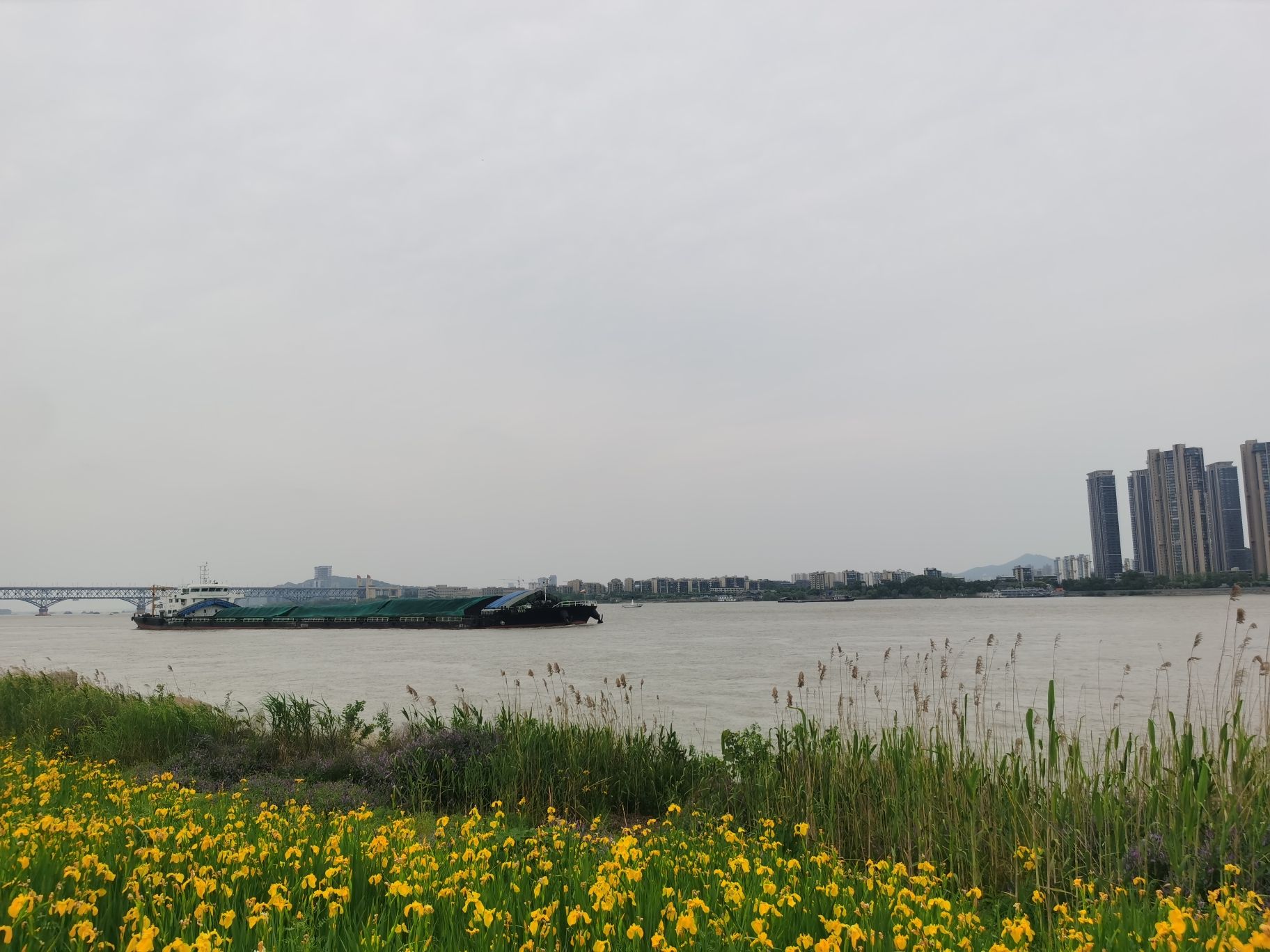 扬子江生态公园旅行图片 2