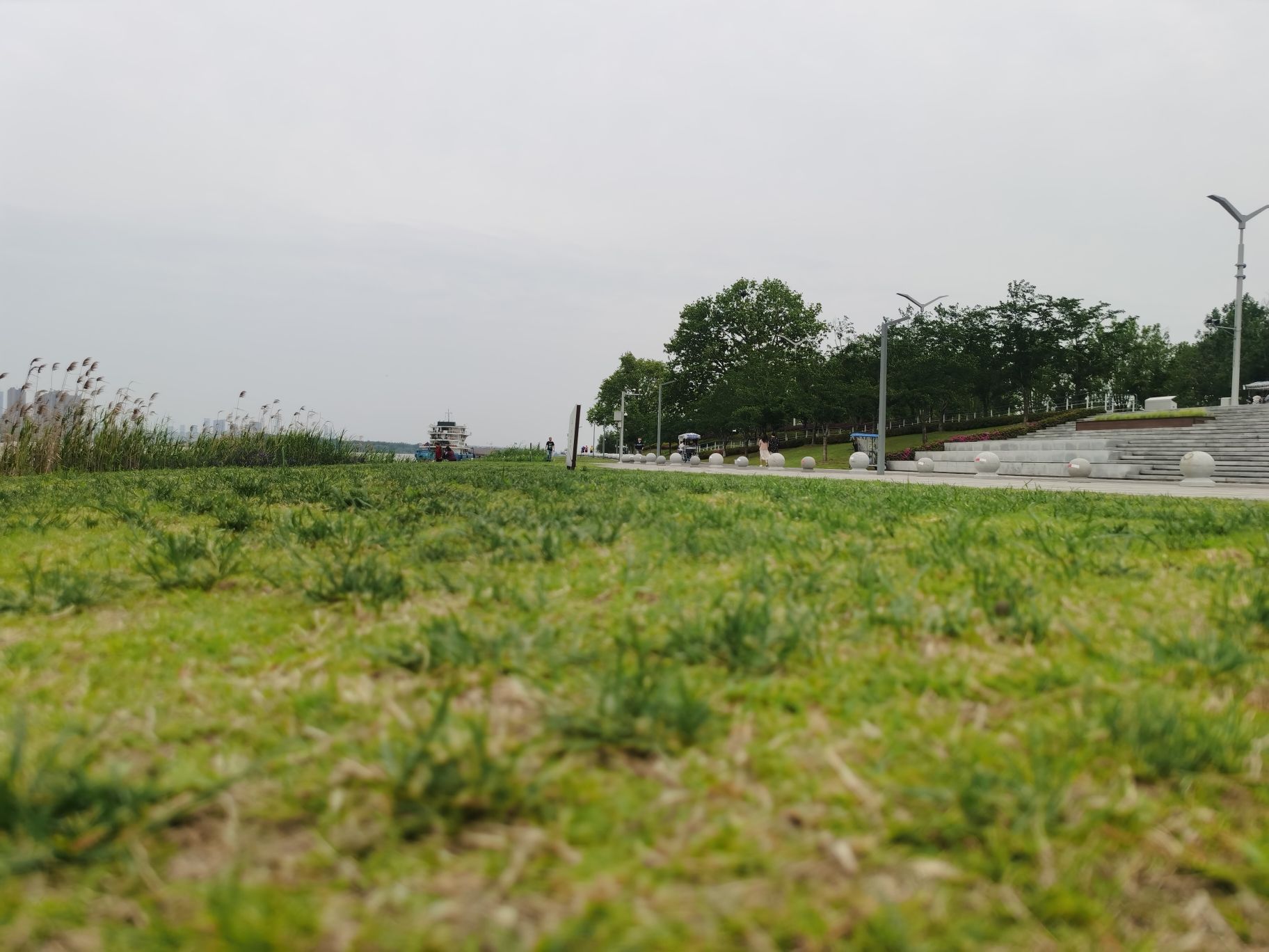 扬子江生态公园旅行图片 3