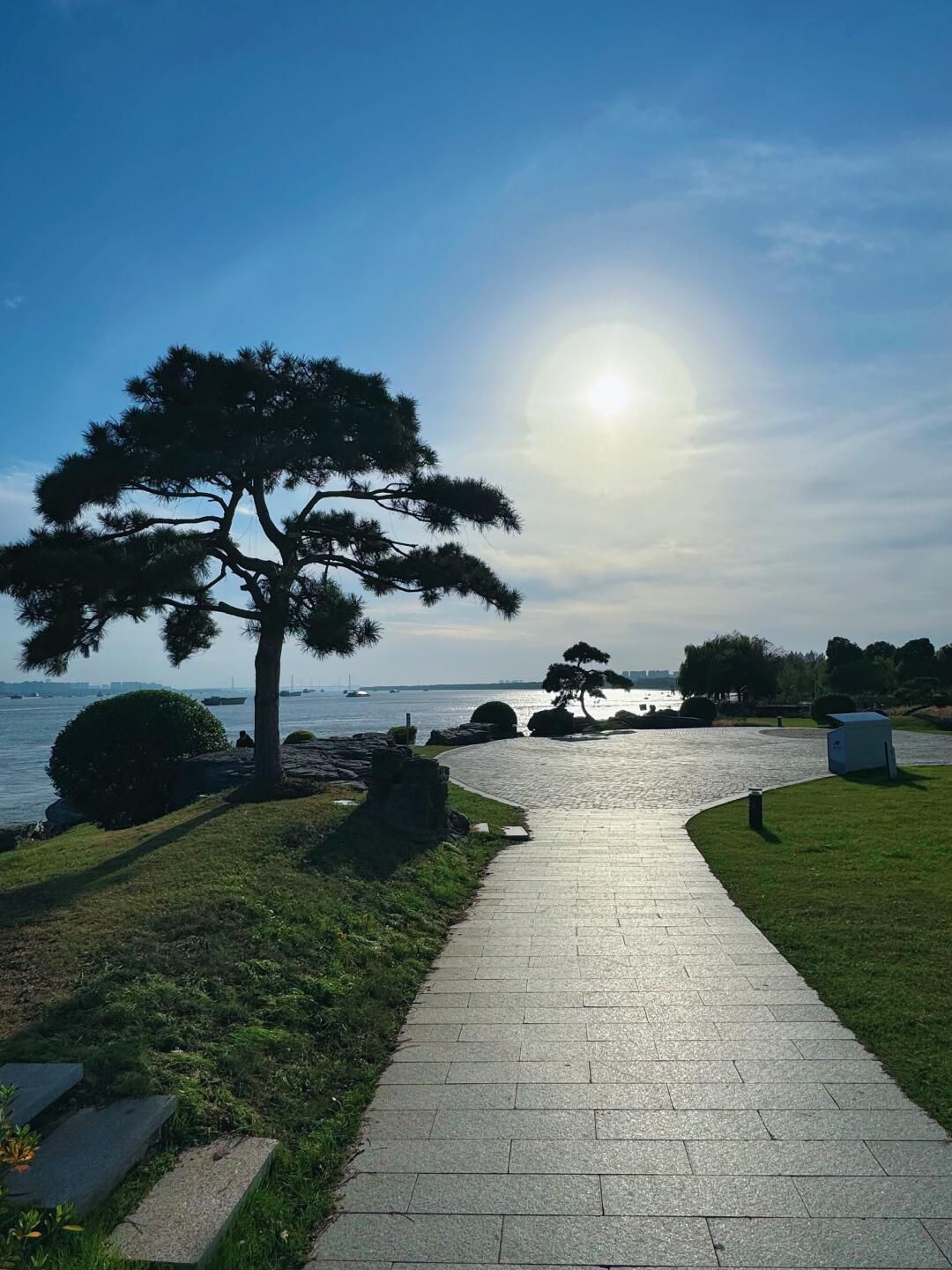 扬子江生态公园旅行图片 2