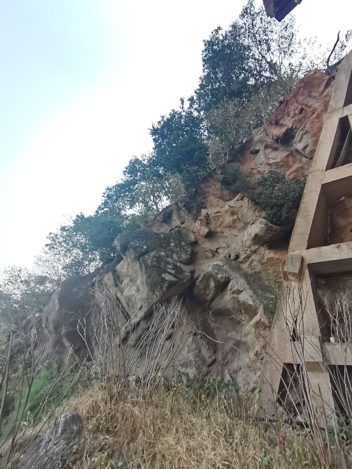 凤凰阁旅行图片 3