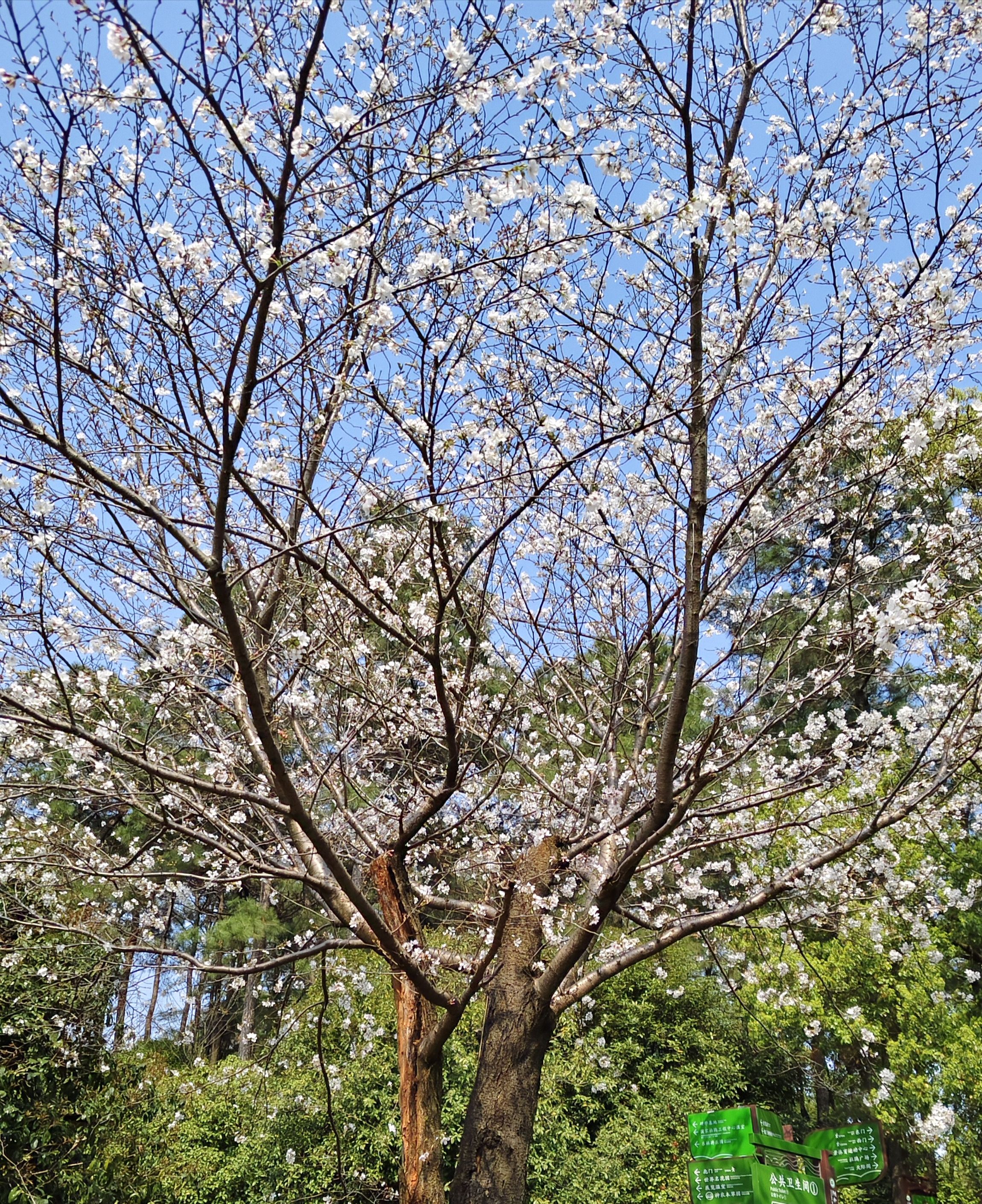 玩美公园旅行图片 3
