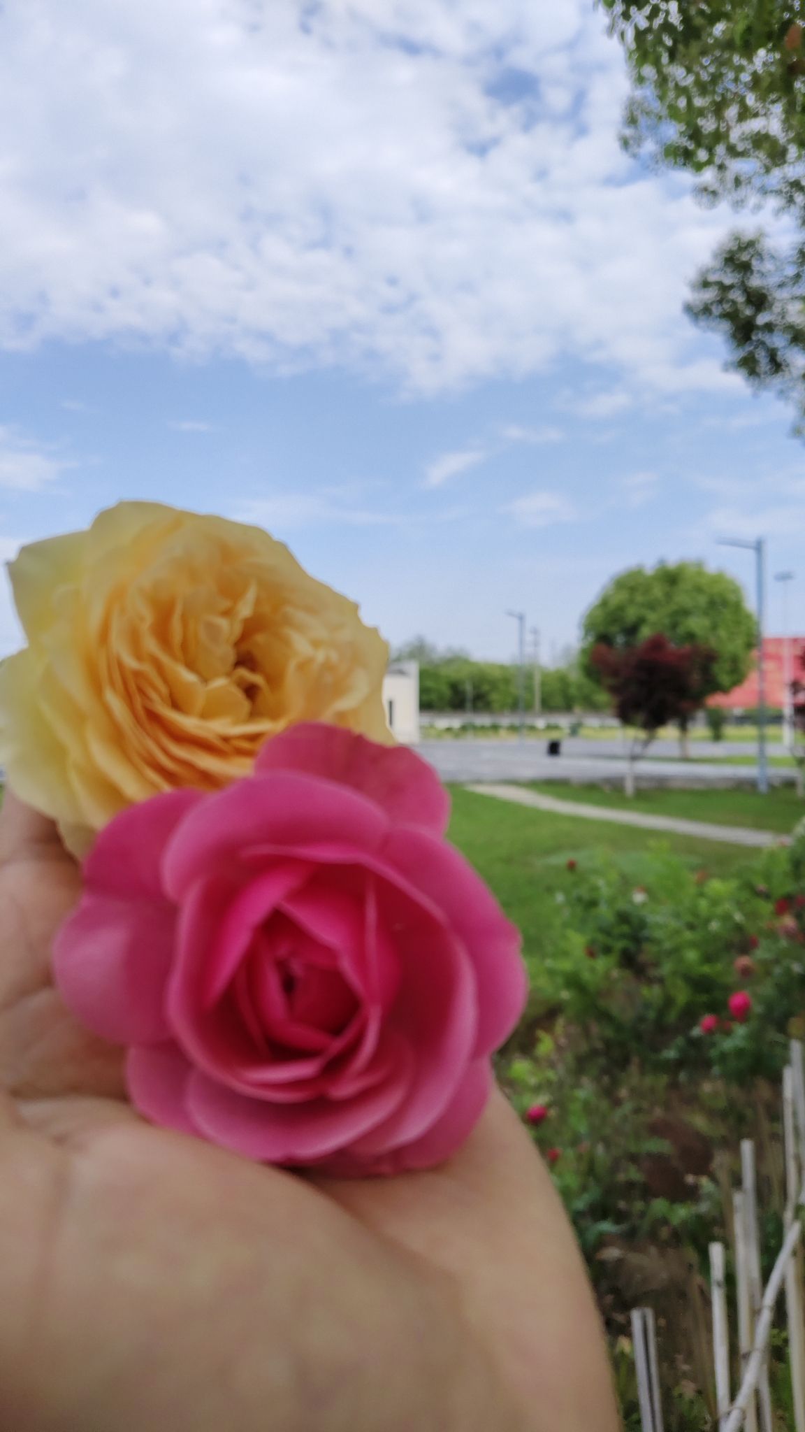 玩美公园旅行图片 1
