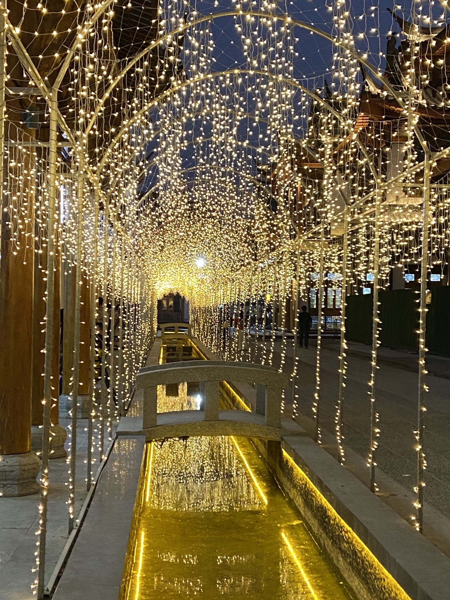 阳明文化公园旅行图片 3