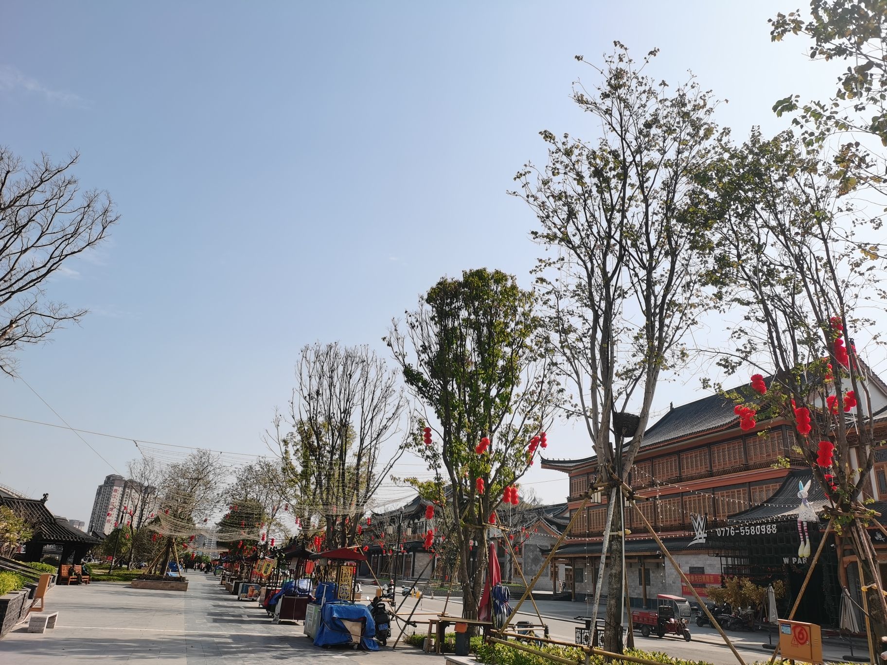 阳明文化公园旅行图片 3