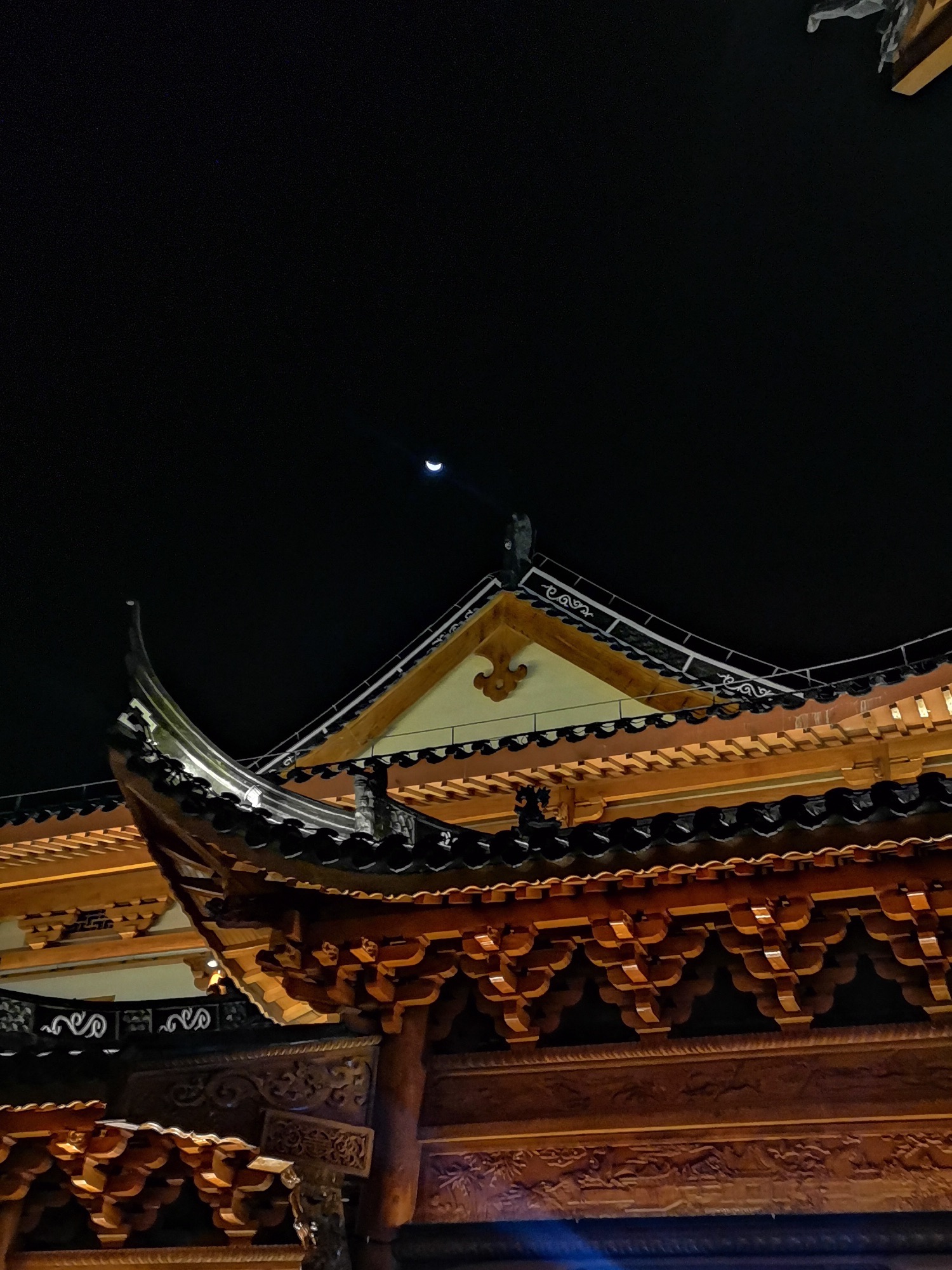 阳明文化公园旅行图片 1