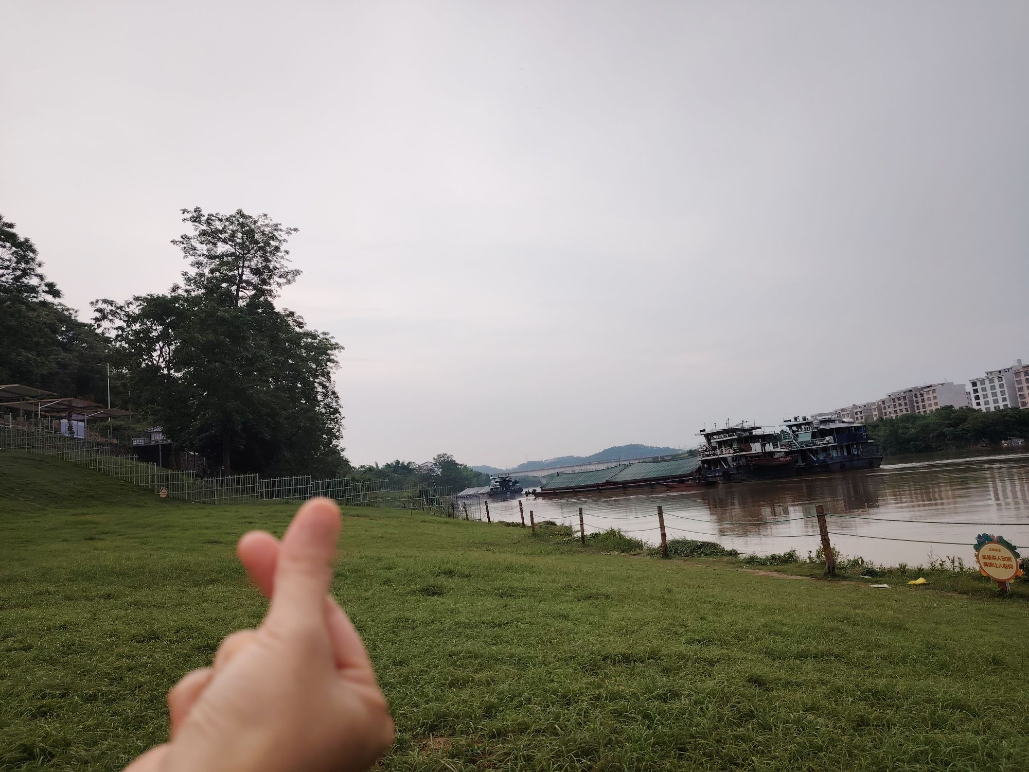 阳明文化公园旅行图片 1