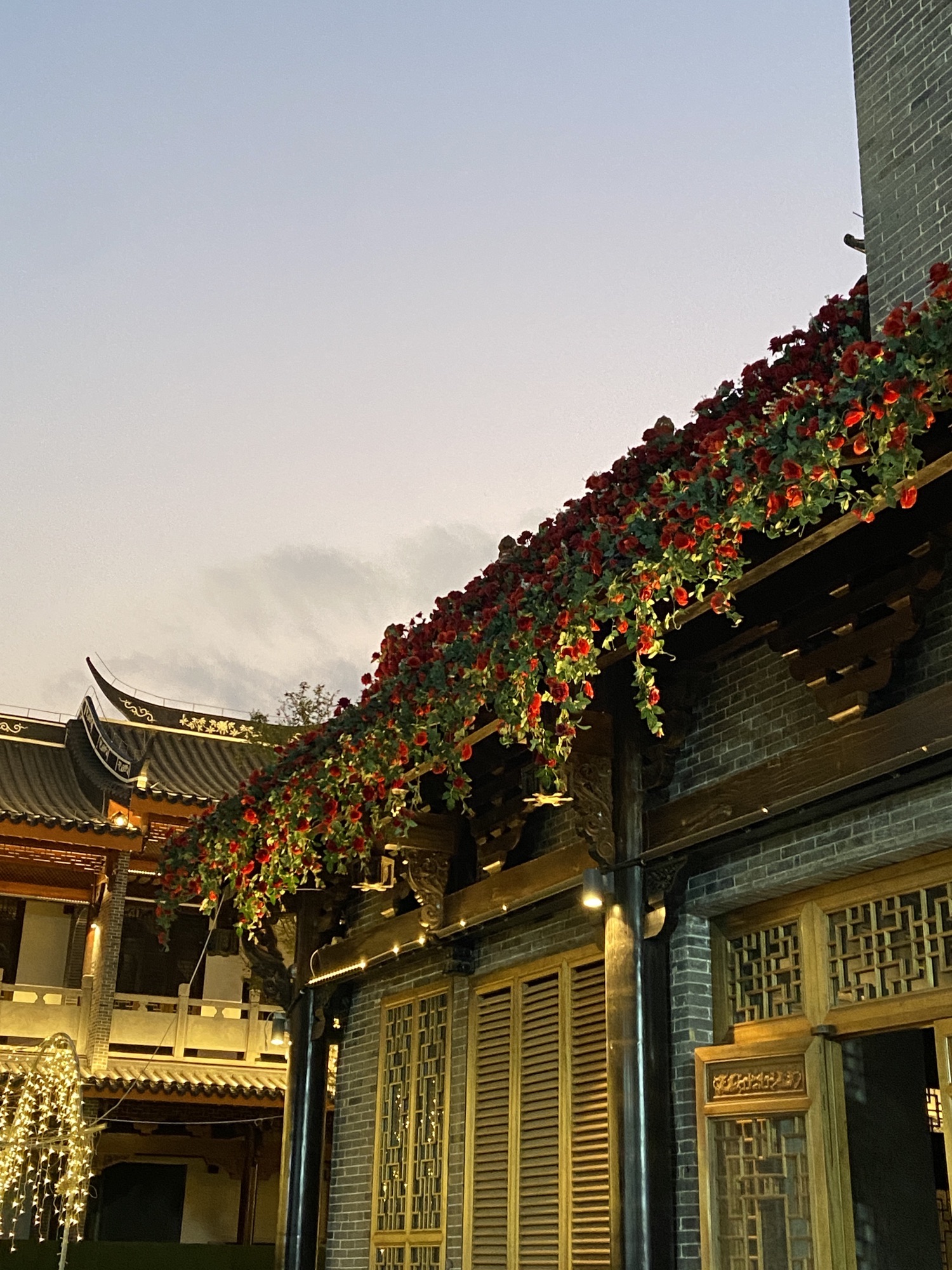 阳明文化公园旅行图片 2