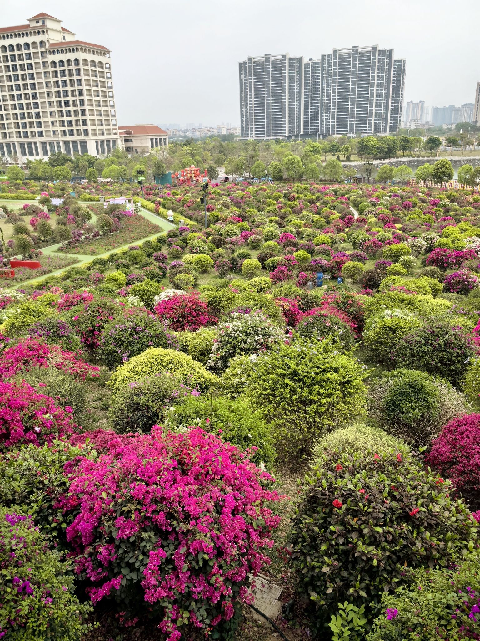 千花洲度假区旅行图片 1