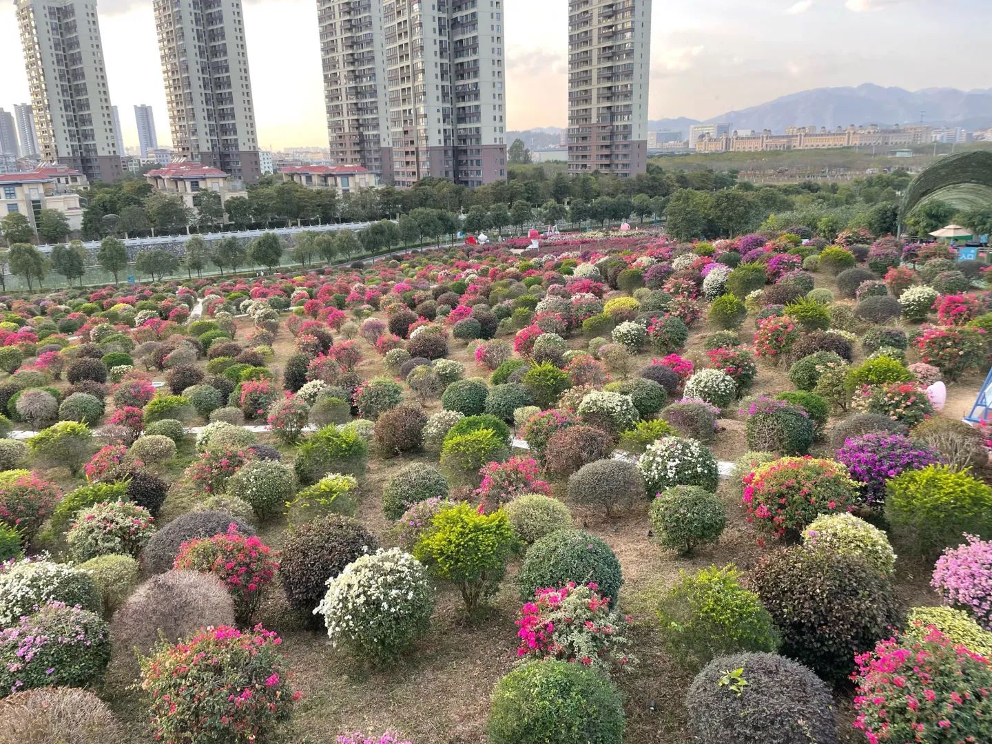 千花洲度假区旅行图片 3
