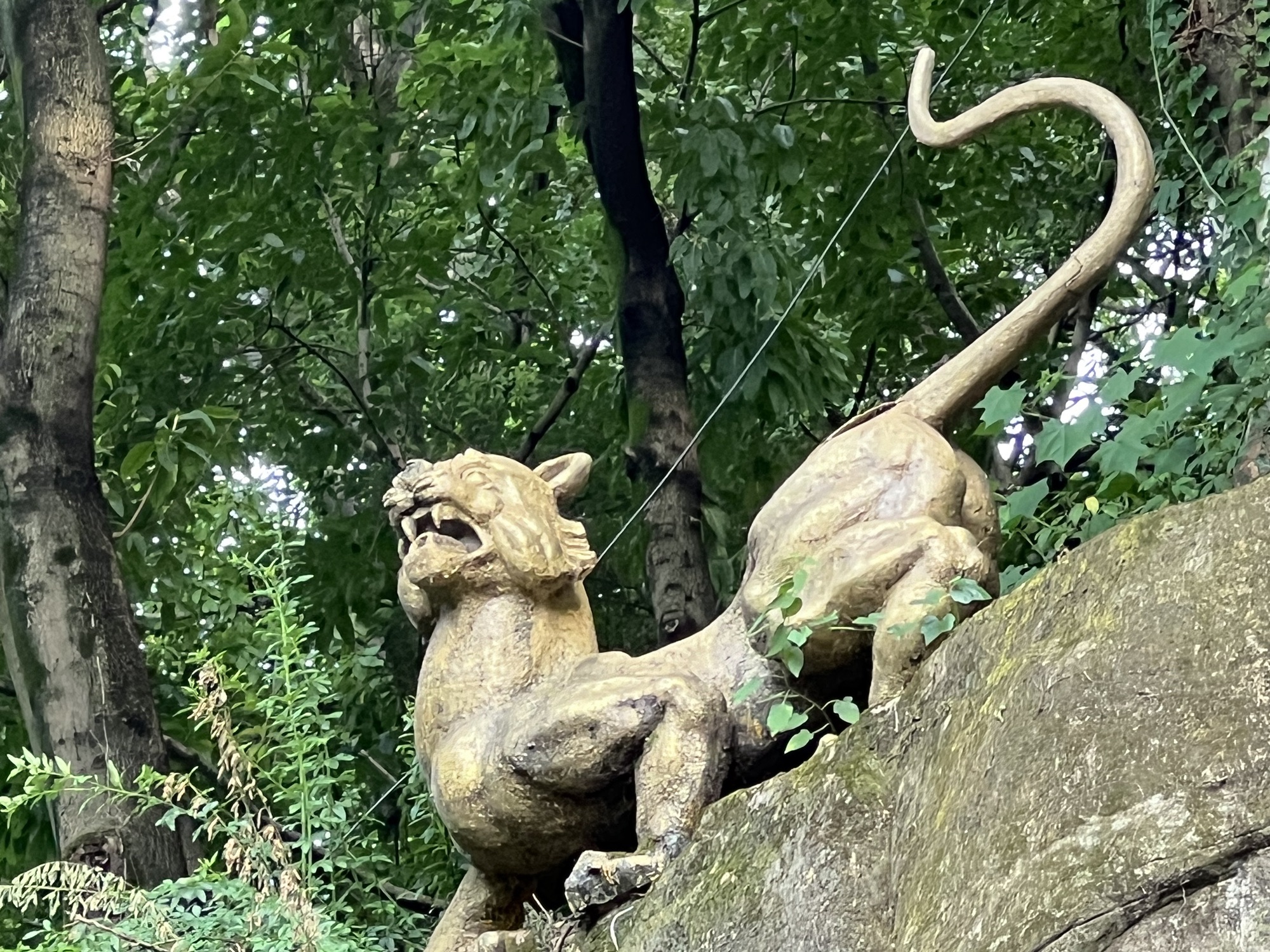 五虎岭旅行图片 3