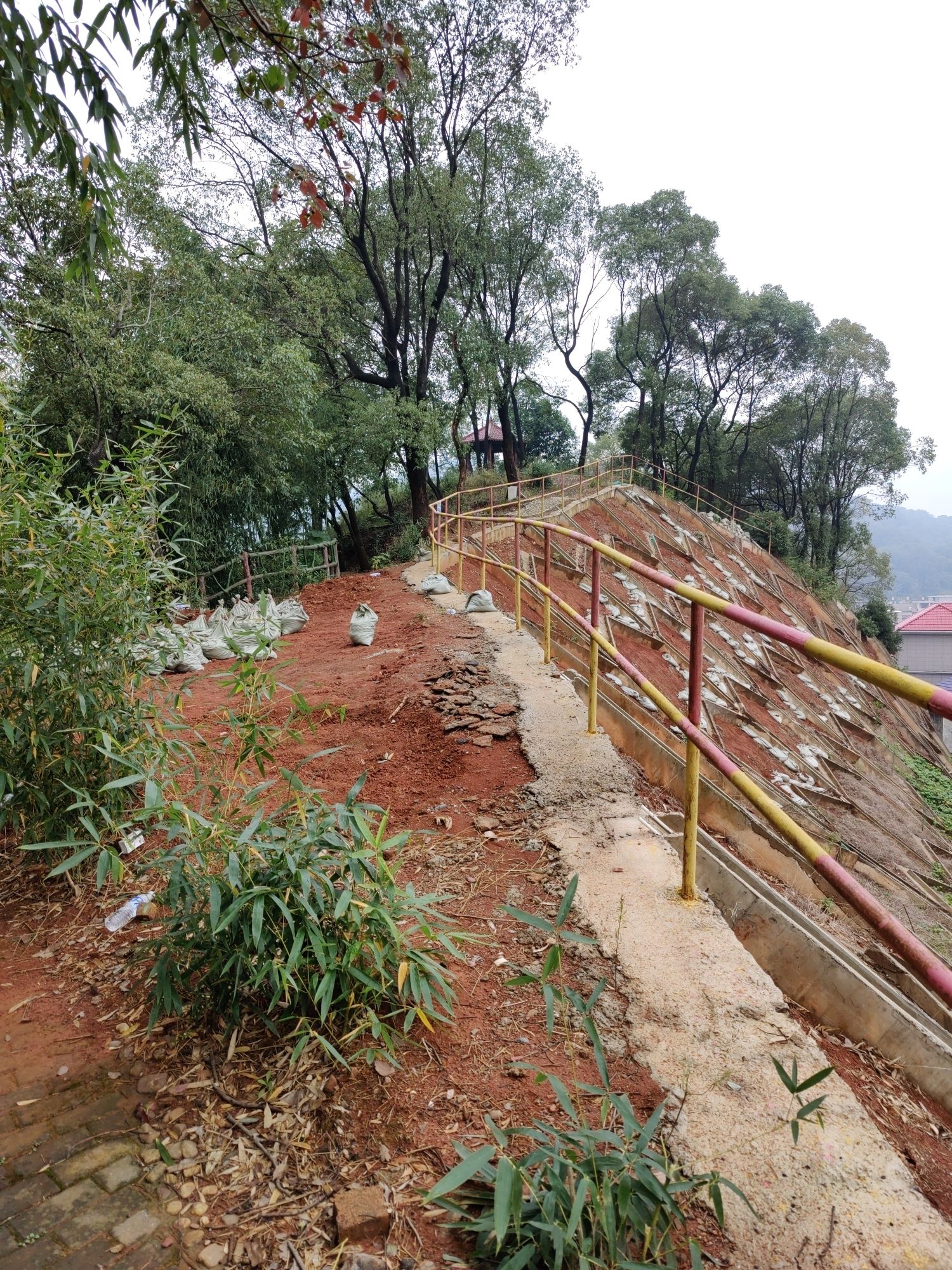 目鱼岭登山步道旅行图片 2