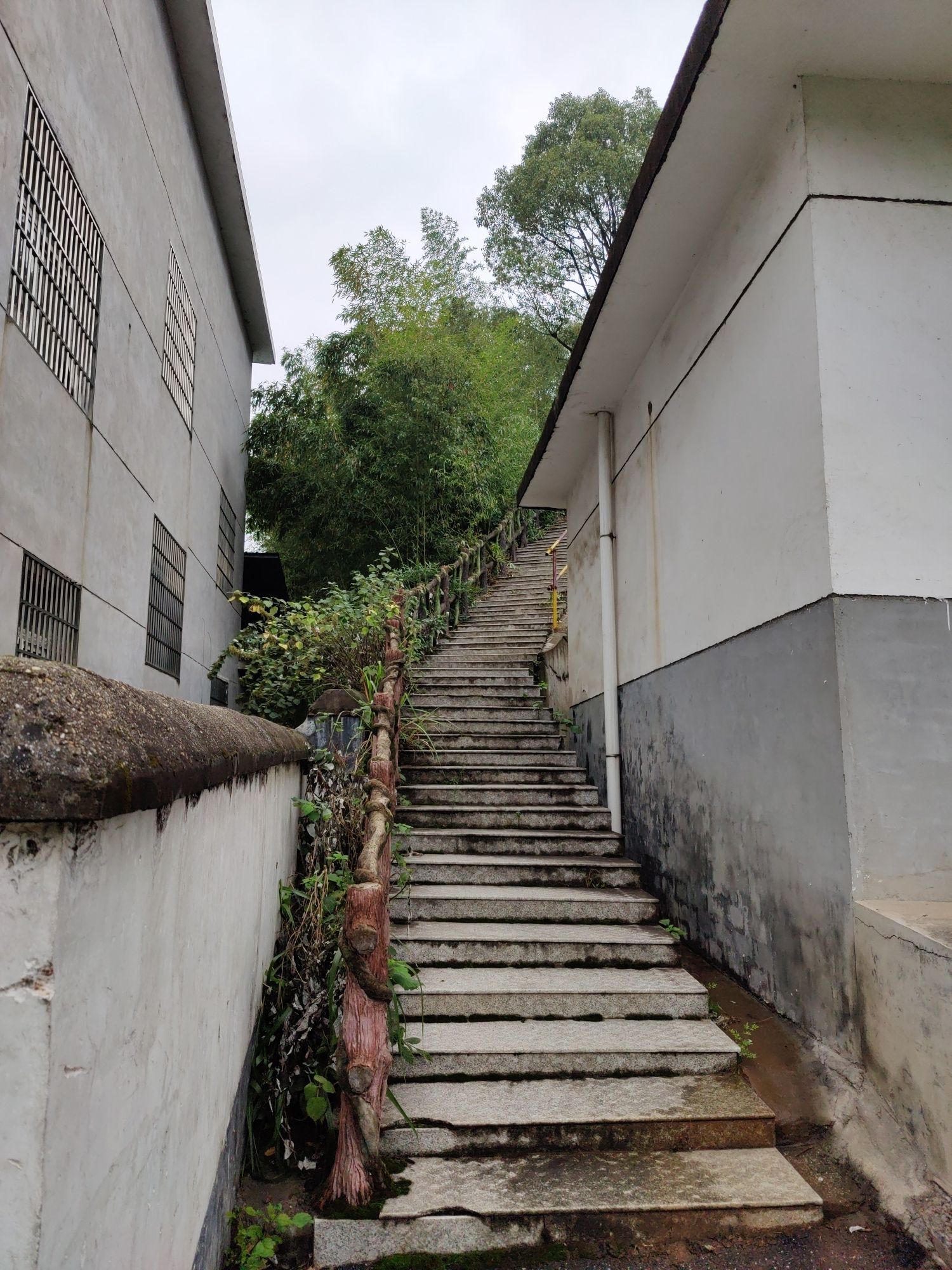 目鱼岭登山步道旅行图片 3