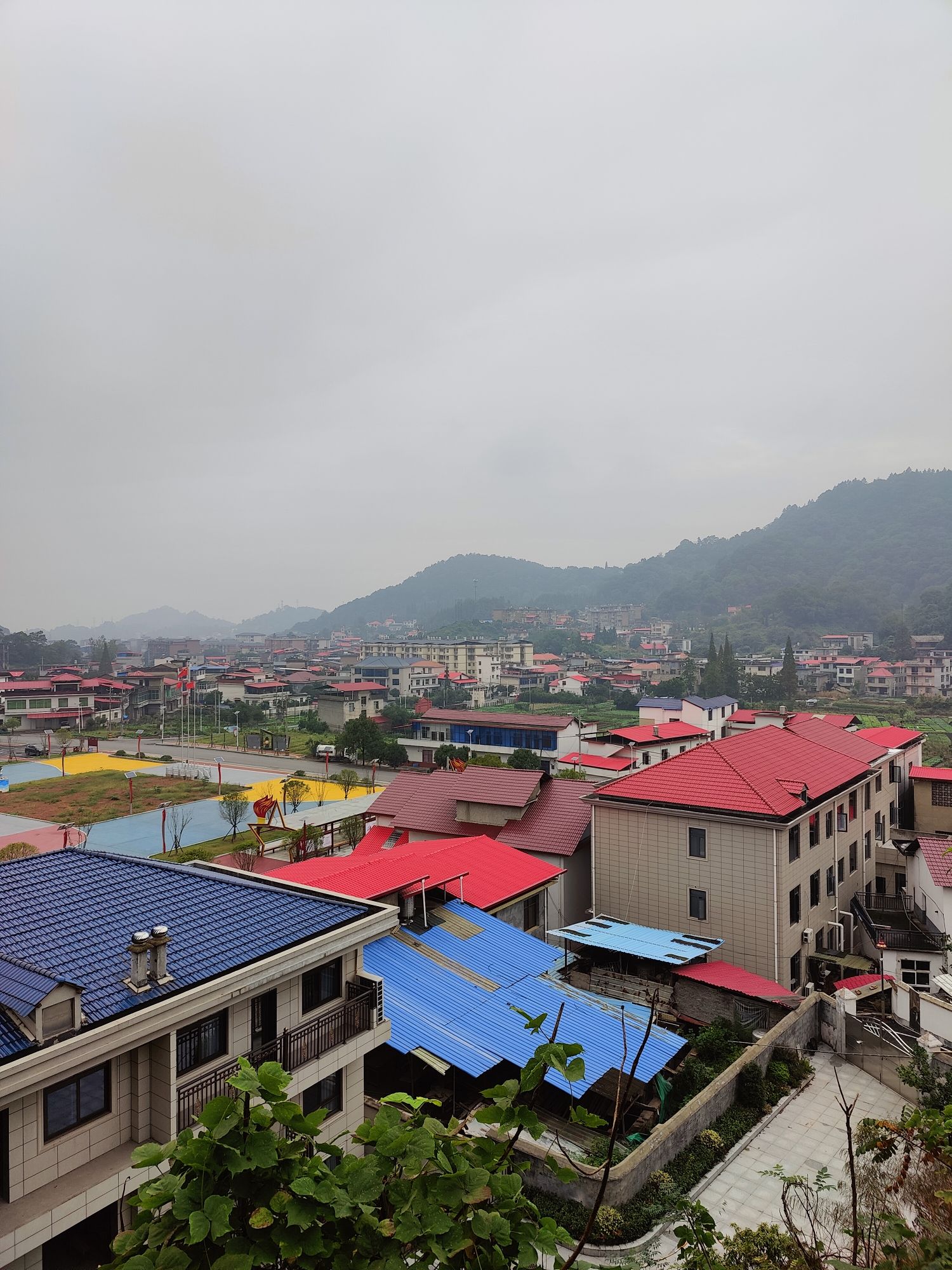 目鱼岭登山步道旅行图片 1