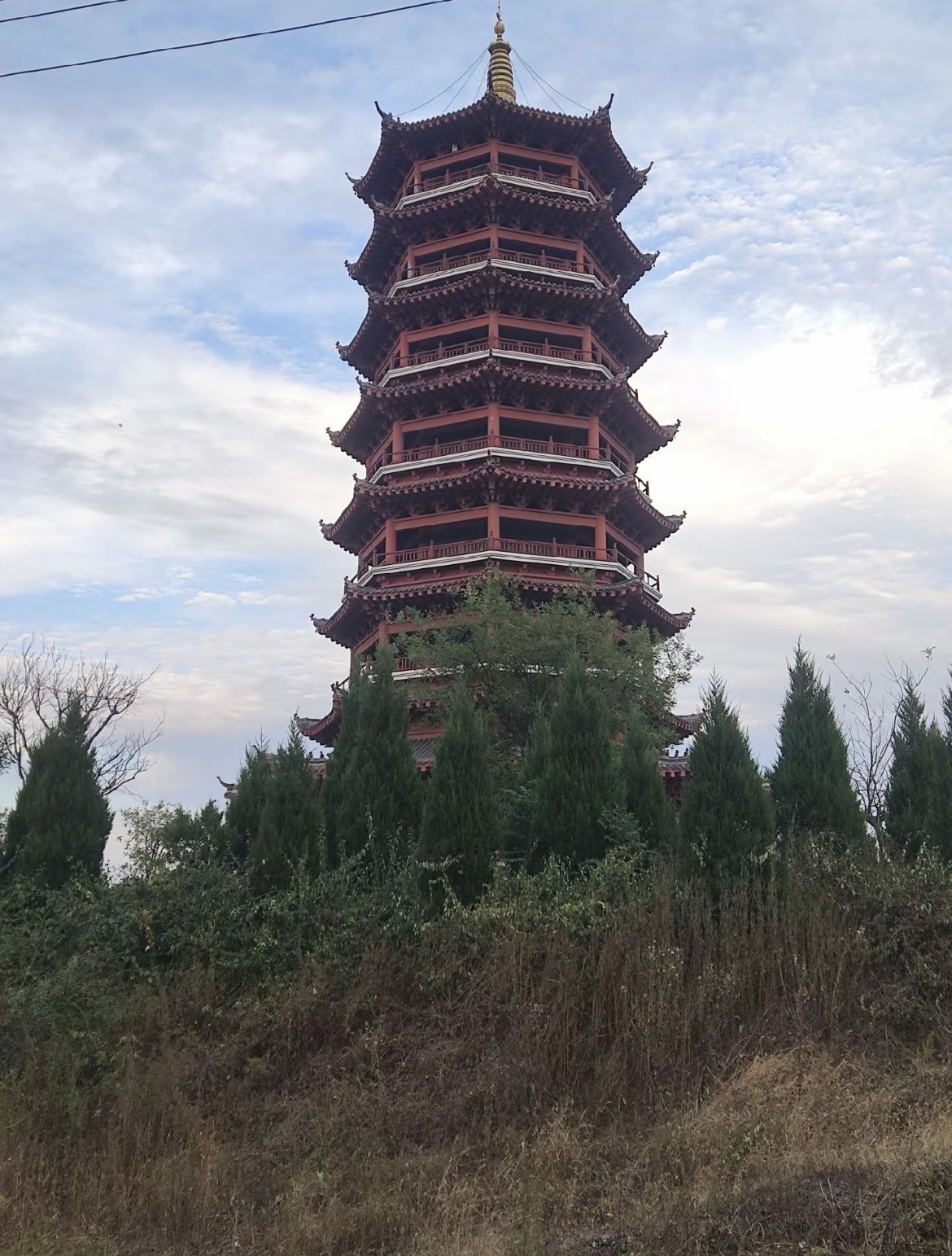 齐鲁桃海旅行图片 2
