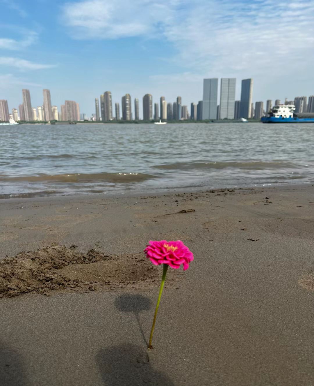 芜湖大龙湾沙滩旅行图片 1