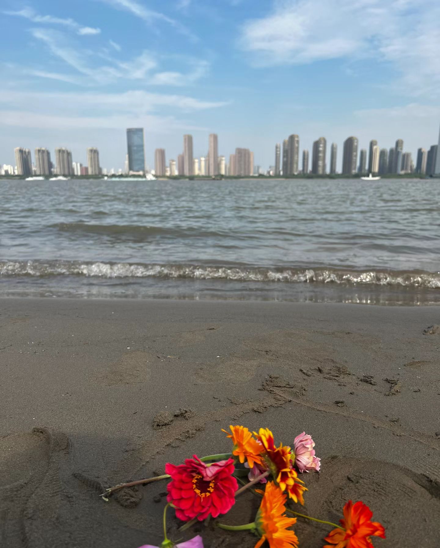 芜湖大龙湾沙滩旅行图片 3
