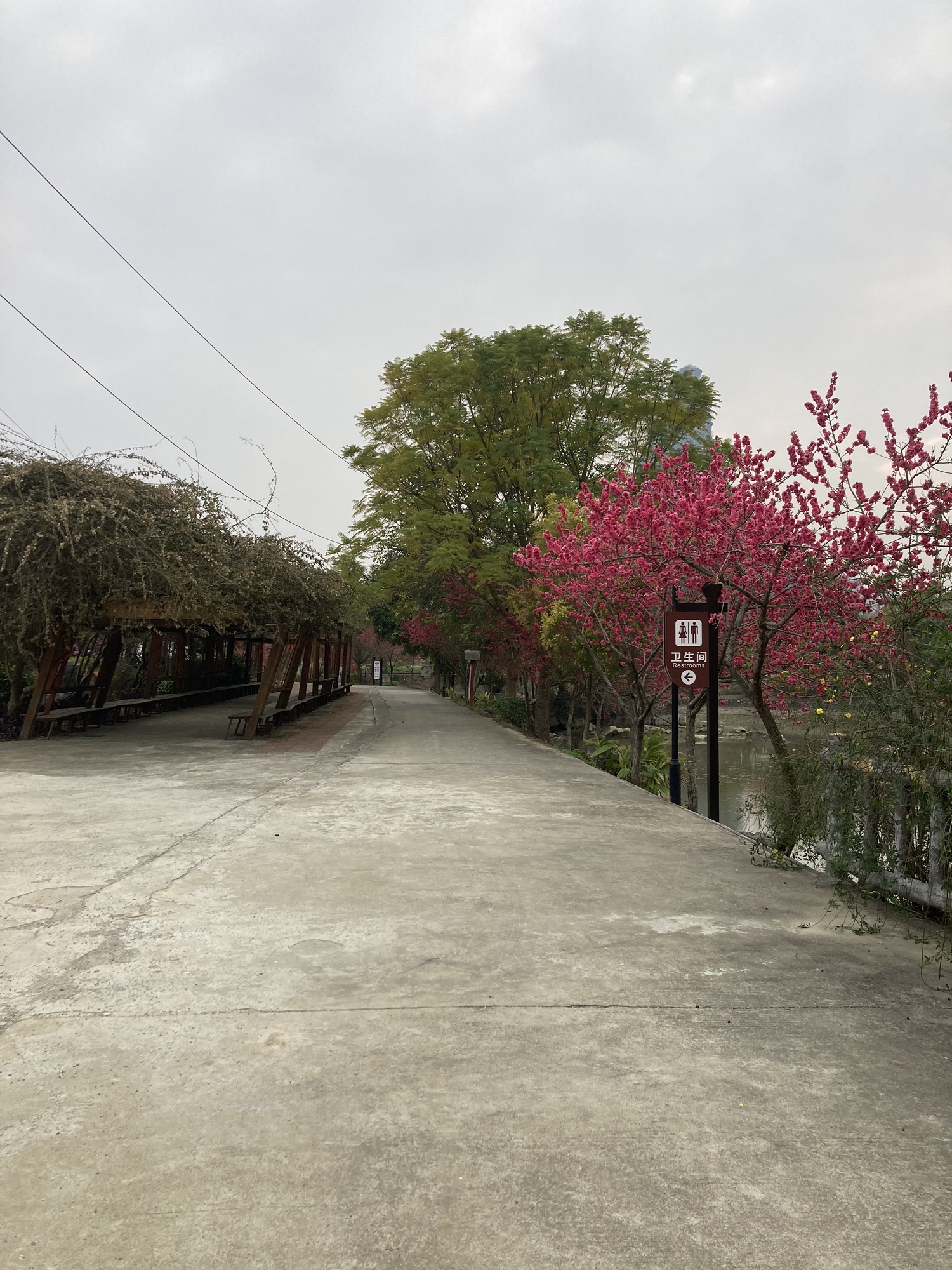 韦昇端庄园旅行图片 3