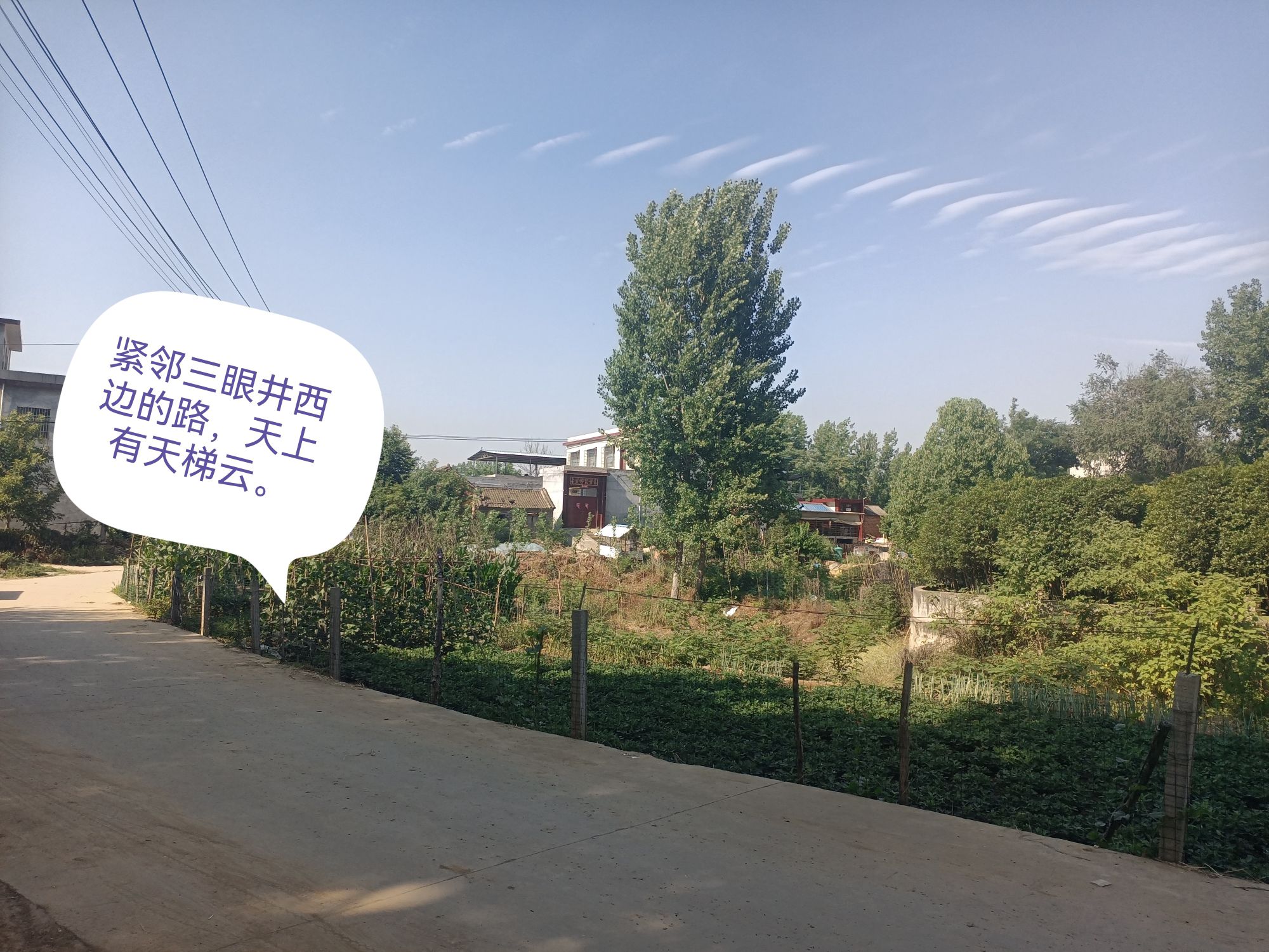 一步三眼井旅行图片 3