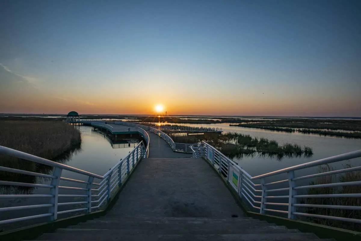 龙凤湿地