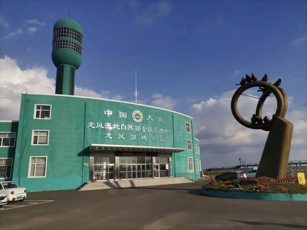龙凤湿地