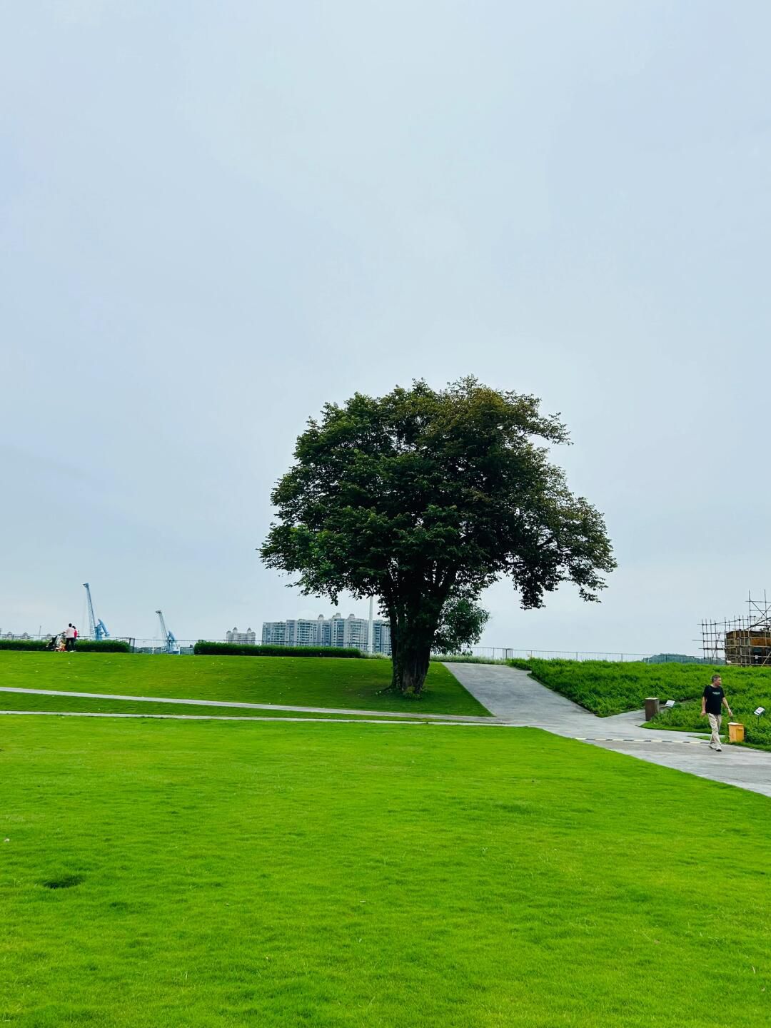 江门粤海滨江艺术公园旅行图片 2