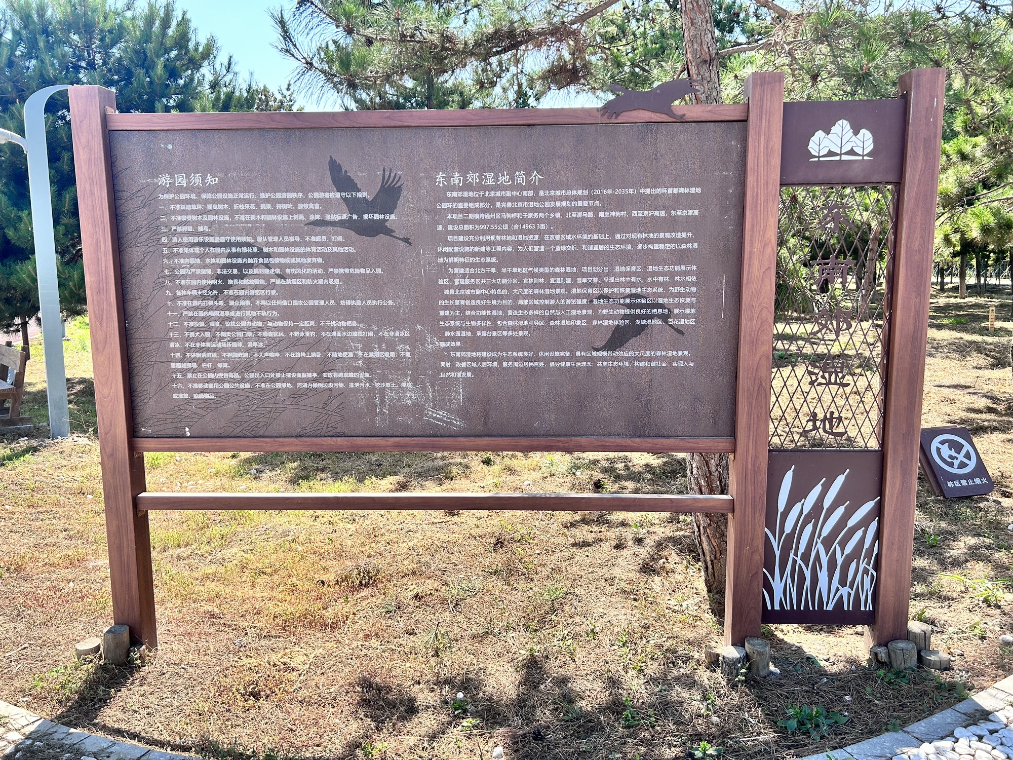 东南郊湿地公园旅行图片 3