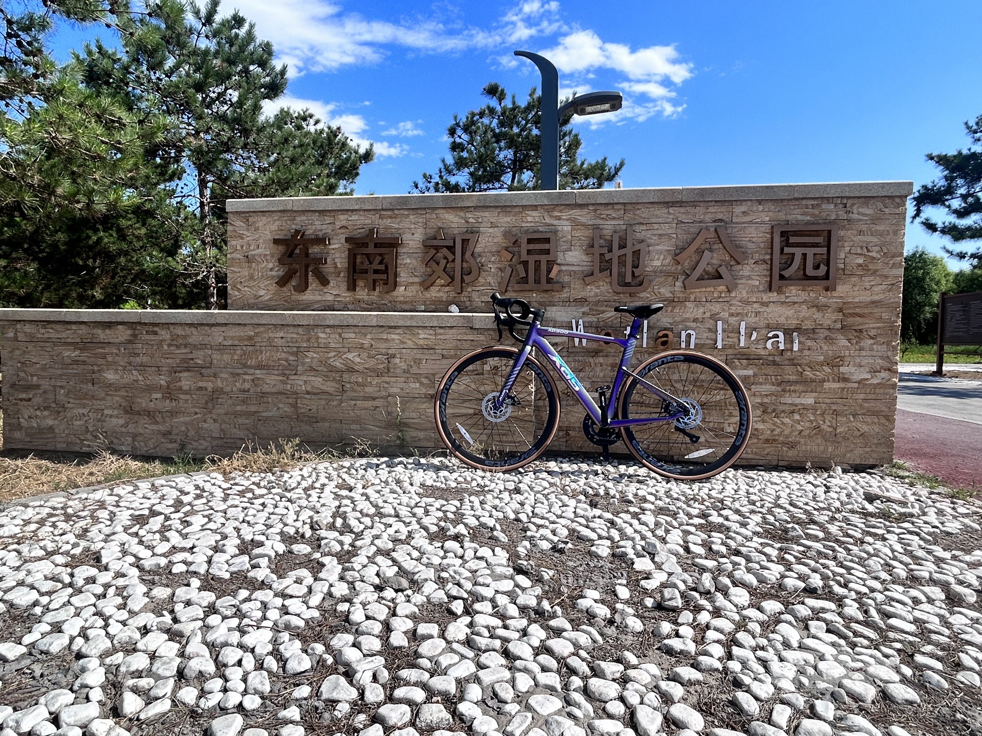 东南郊湿地公园旅行图片 1
