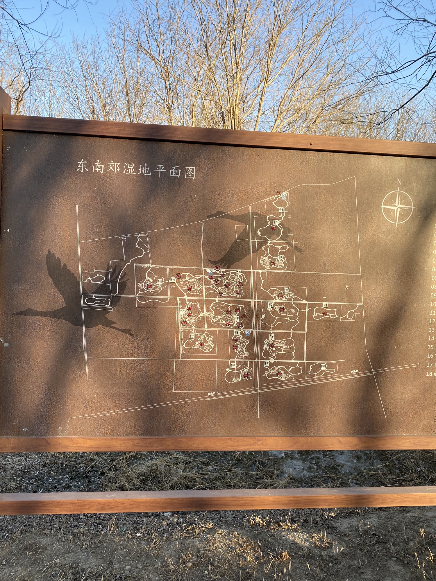 东南郊湿地公园旅行图片 3