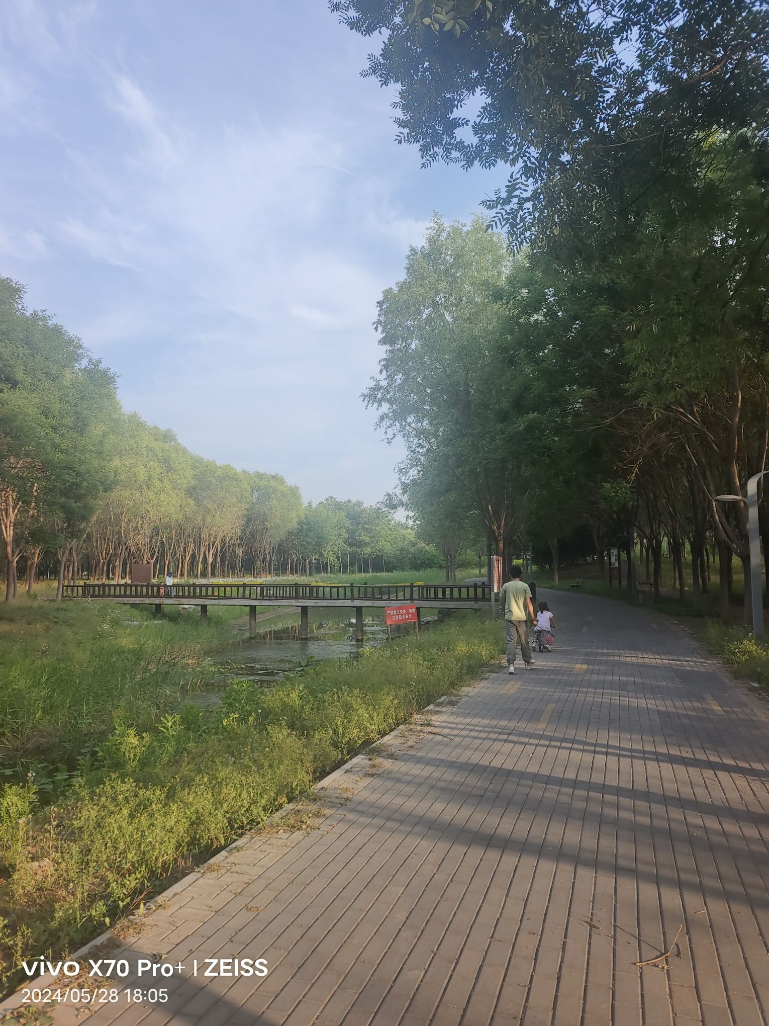 东南郊湿地公园旅行图片 3
