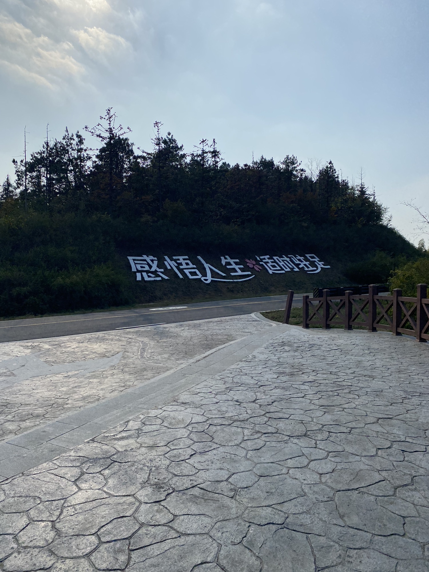乐道金坛绿野仙踪之春风十里旅行图片 1