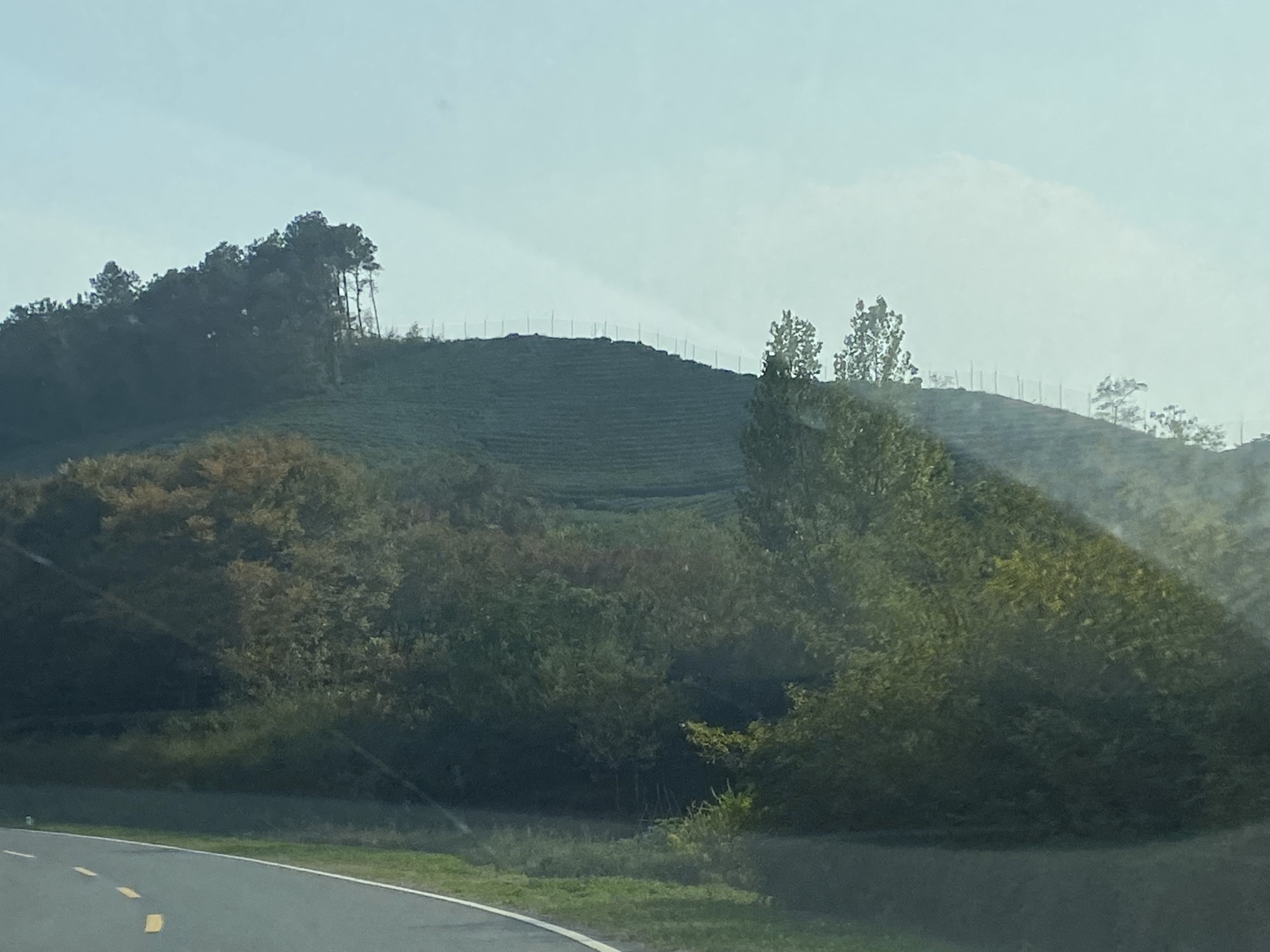 乐道金坛绿野仙踪之春风十里旅行图片 3