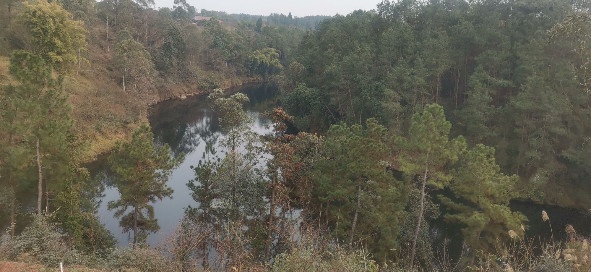 莲花彩色生态园区旅行图片 1