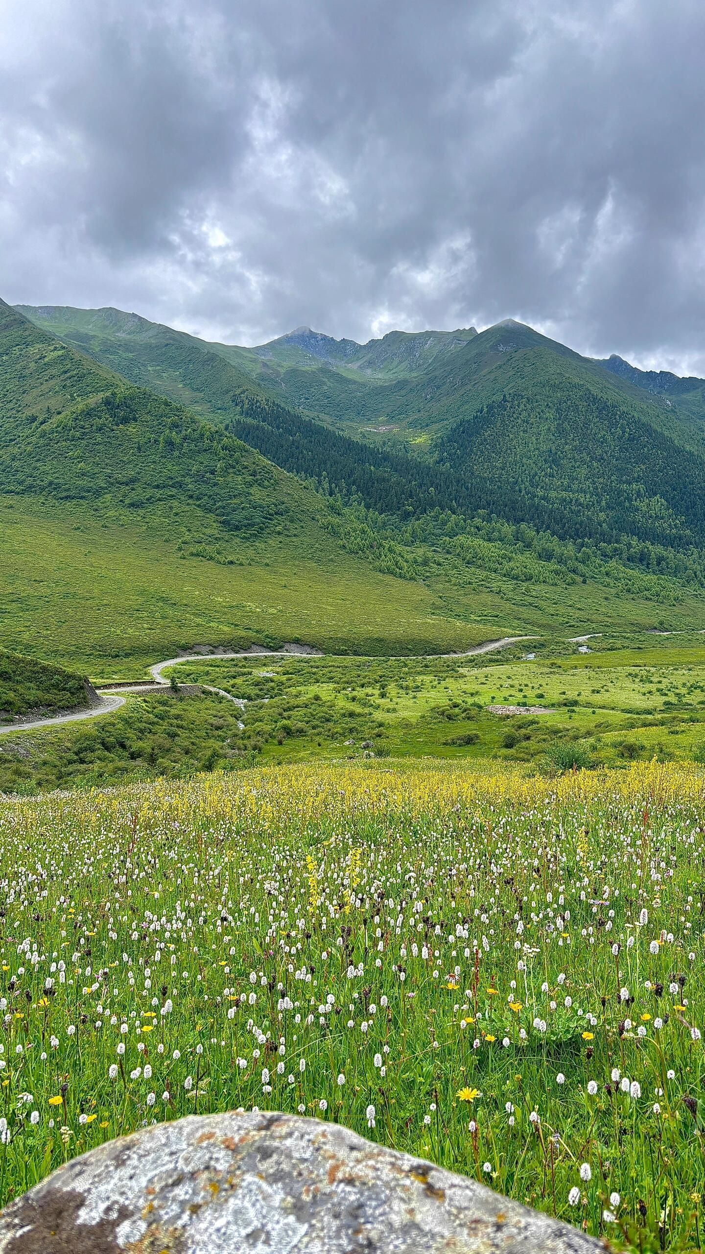 米亚罗风景区旅行图片 2