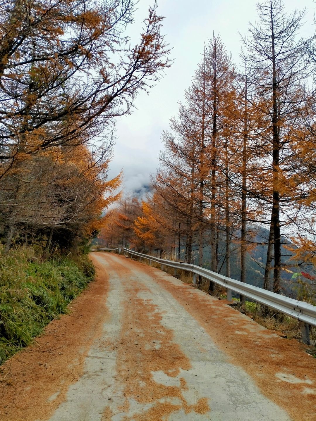 米亚罗风景区旅行图片 3
