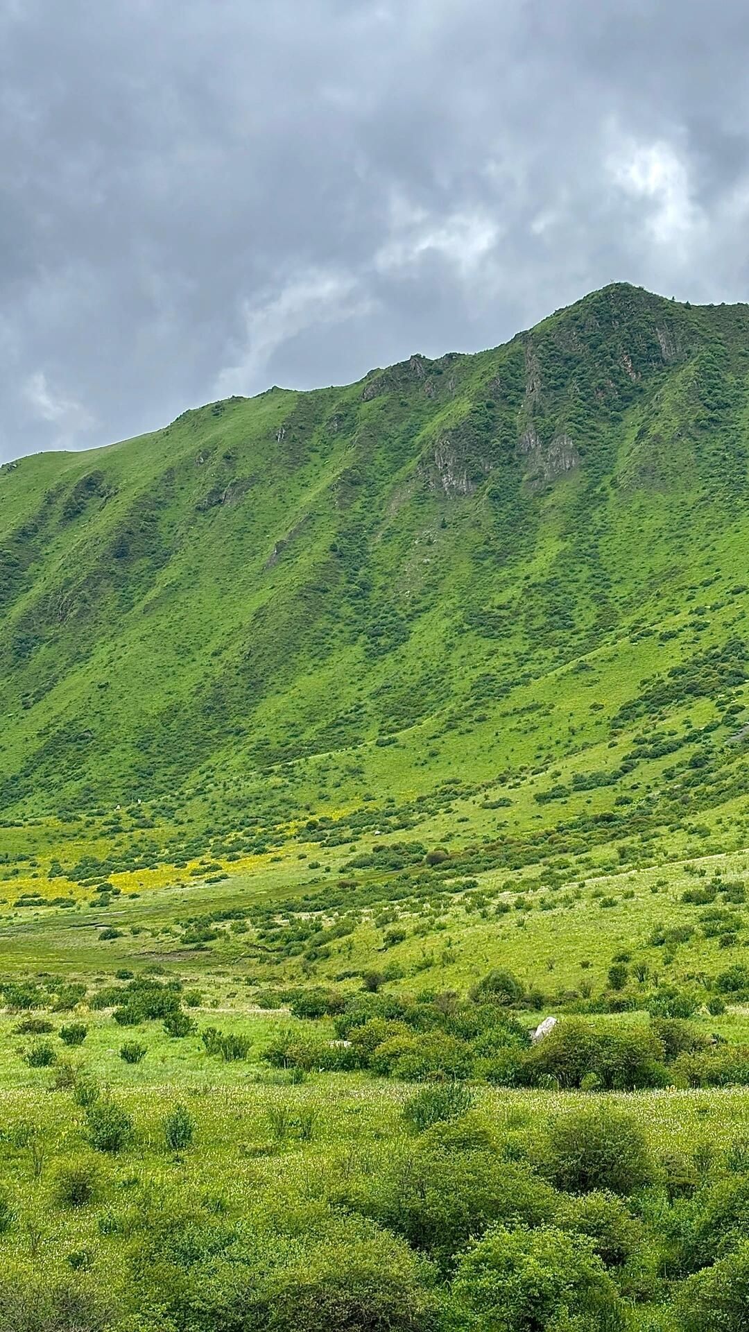 米亚罗风景区旅行图片 3