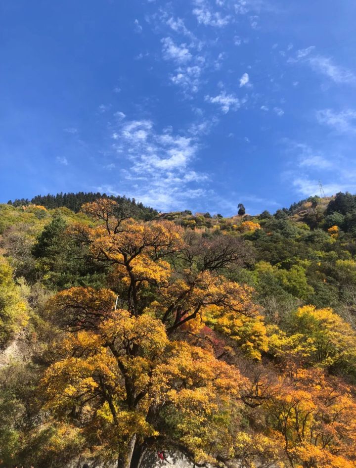米亚罗风景区旅行图片 2
